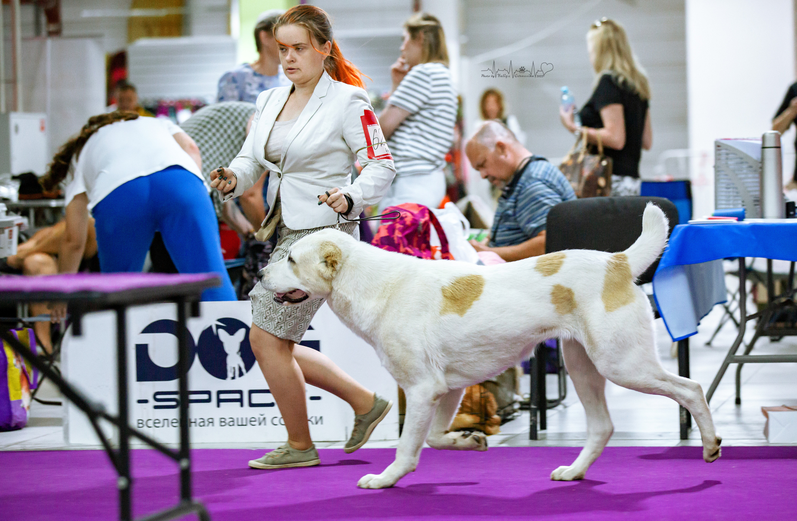 Ховрино 31.07,Чайна-Таун 6.08,Тверь 7.08. Фотограф-анималист Юлия Германика