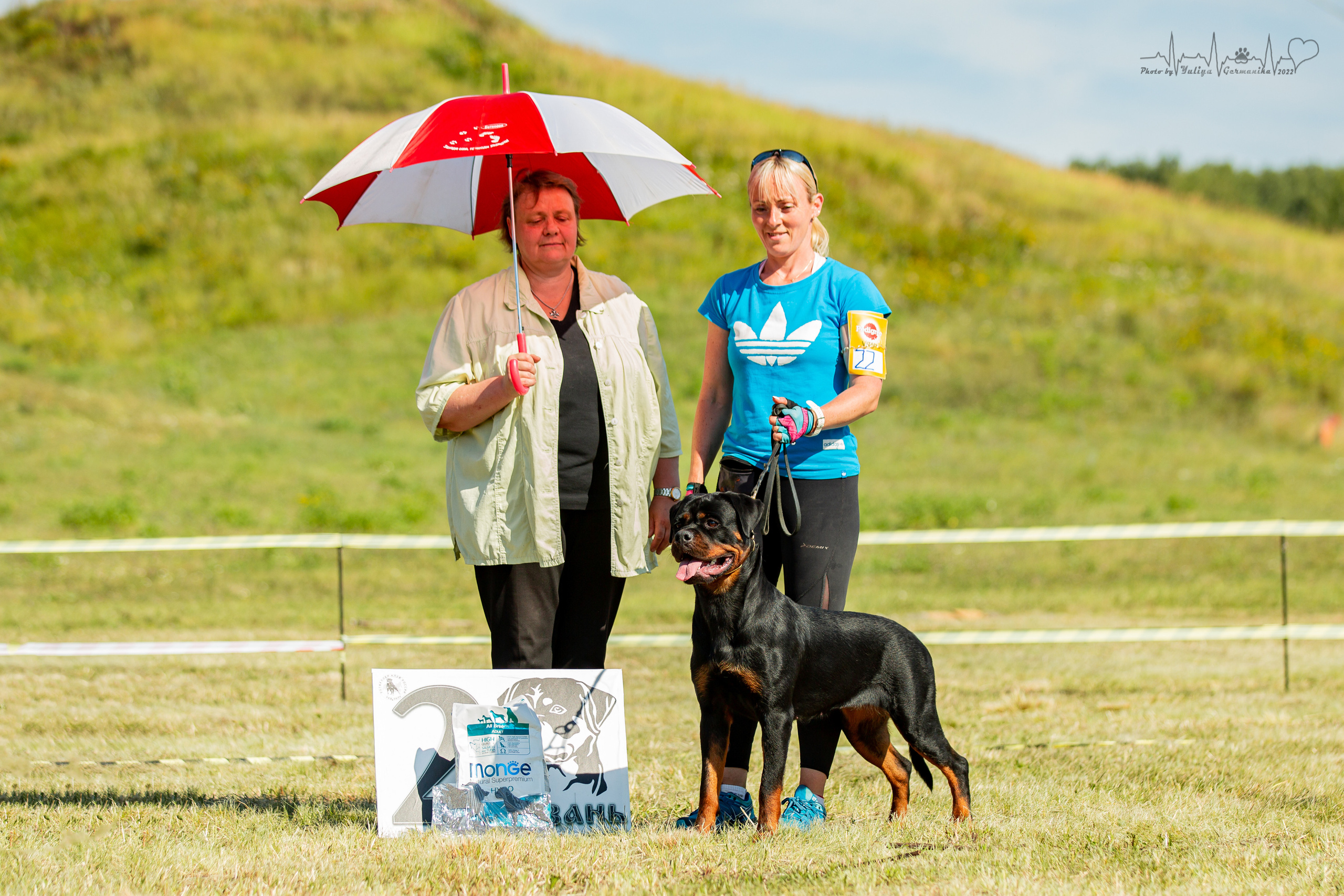 Рязань моно ротвейлеров 13.08.2022. Фотограф-анималист Юлия Германика