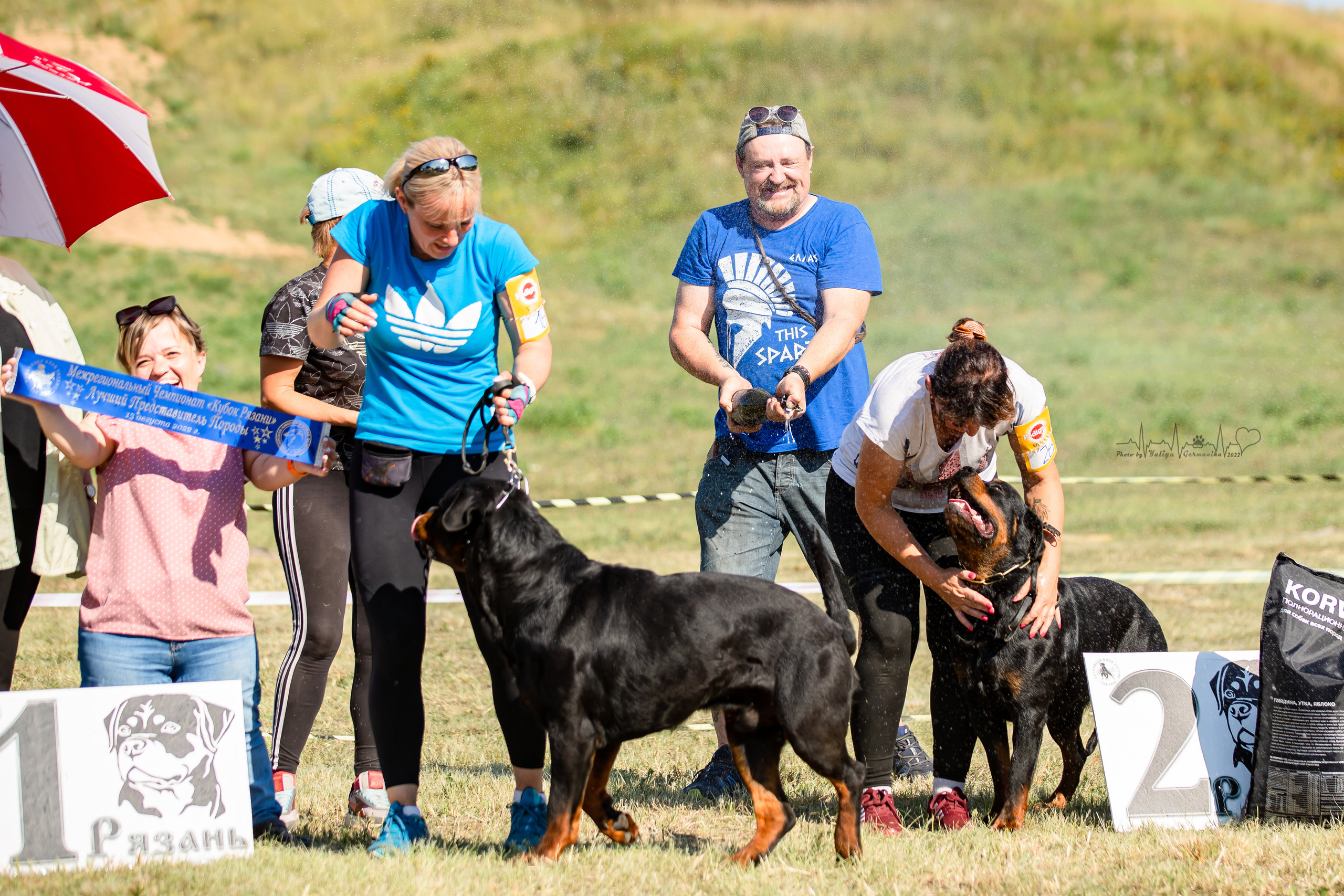 Рязань моно ротвейлеров 13.08.2022. Фотограф-анималист Юлия Германика