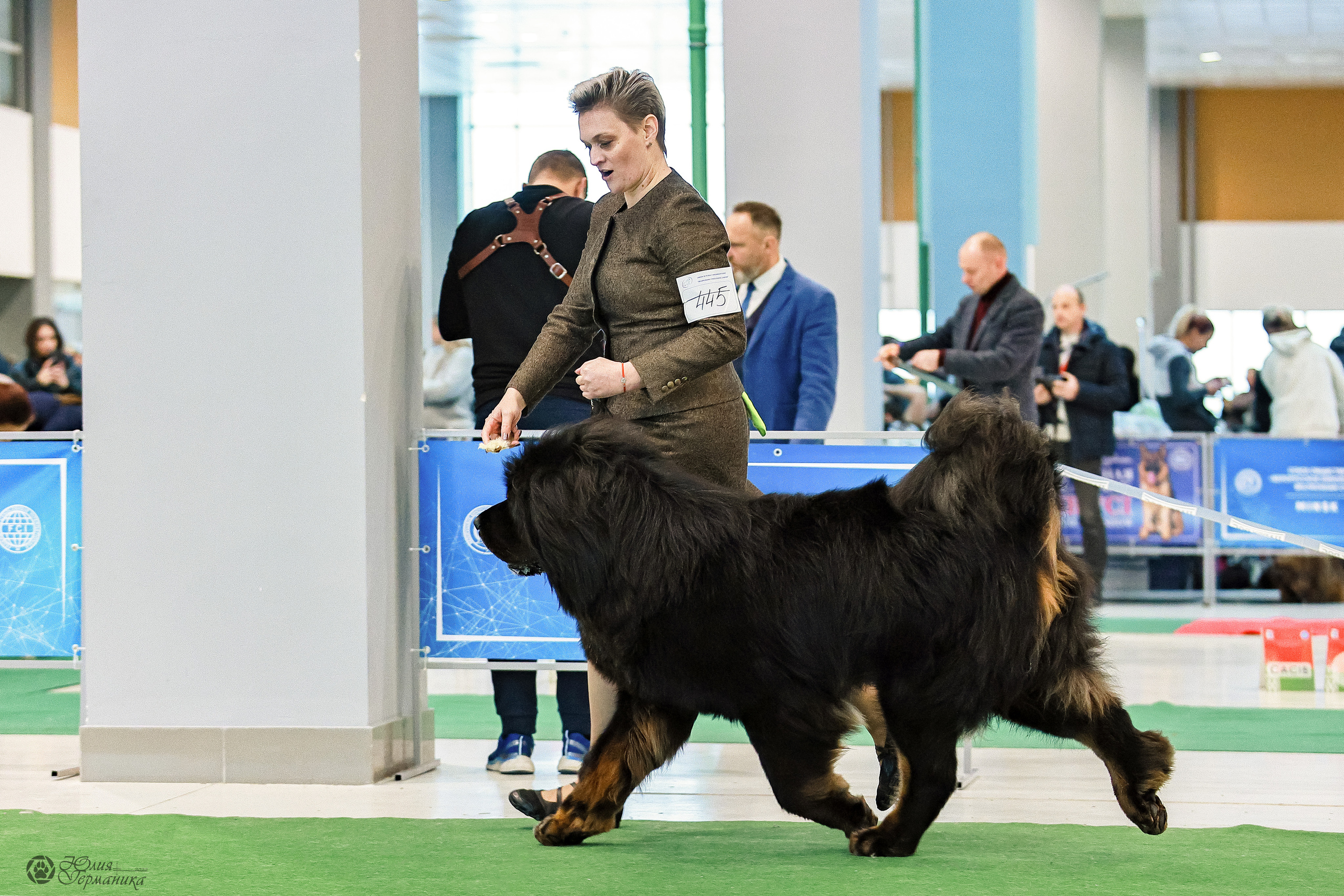 Минск 19-20.11.2022. Фотограф-анималист Юлия Германика