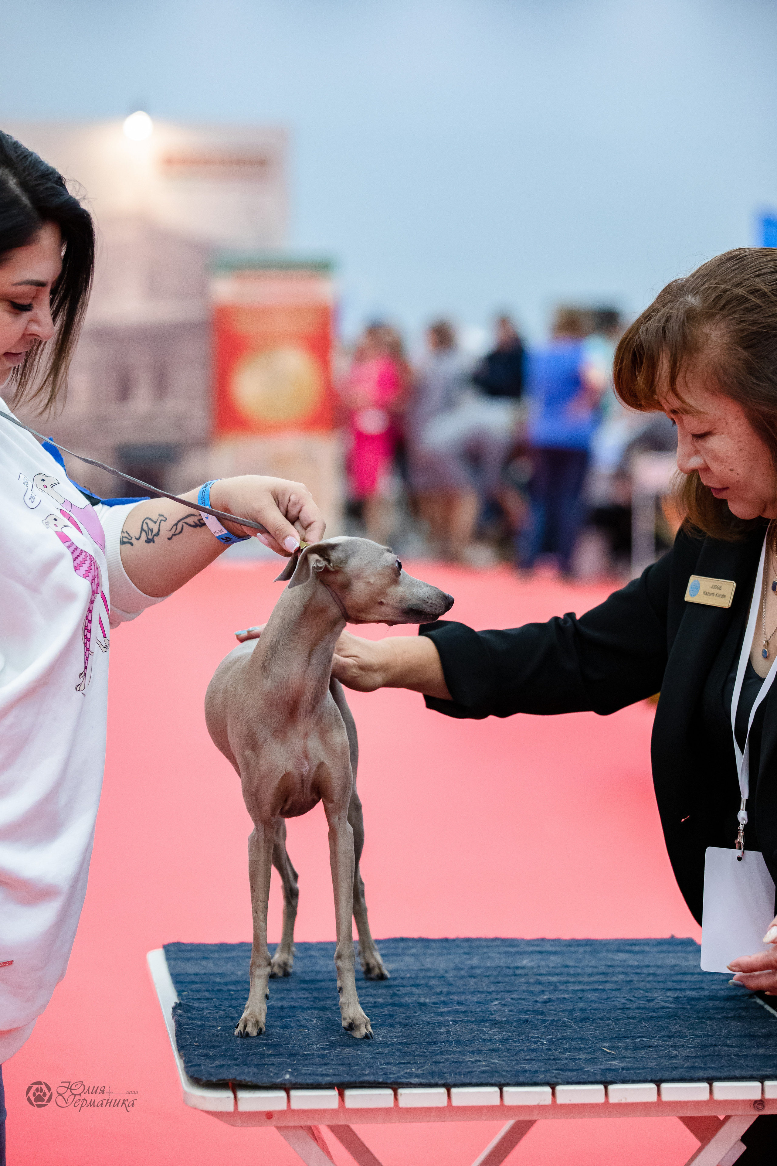 Нижний Новгород 15-16.10.2022. Фотограф-анималист Юлия Германика