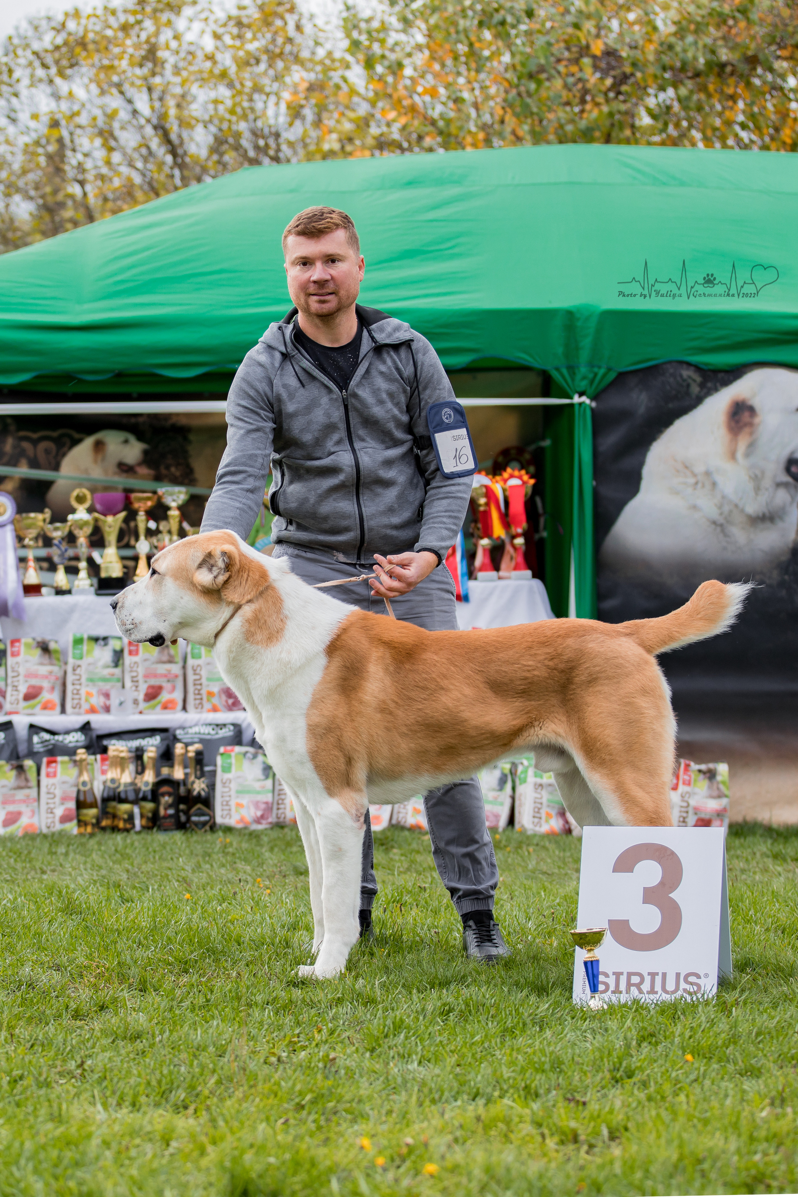 Александрова Слобода моно сао 2.10.2022. Фотограф-анималист Юлия Германика