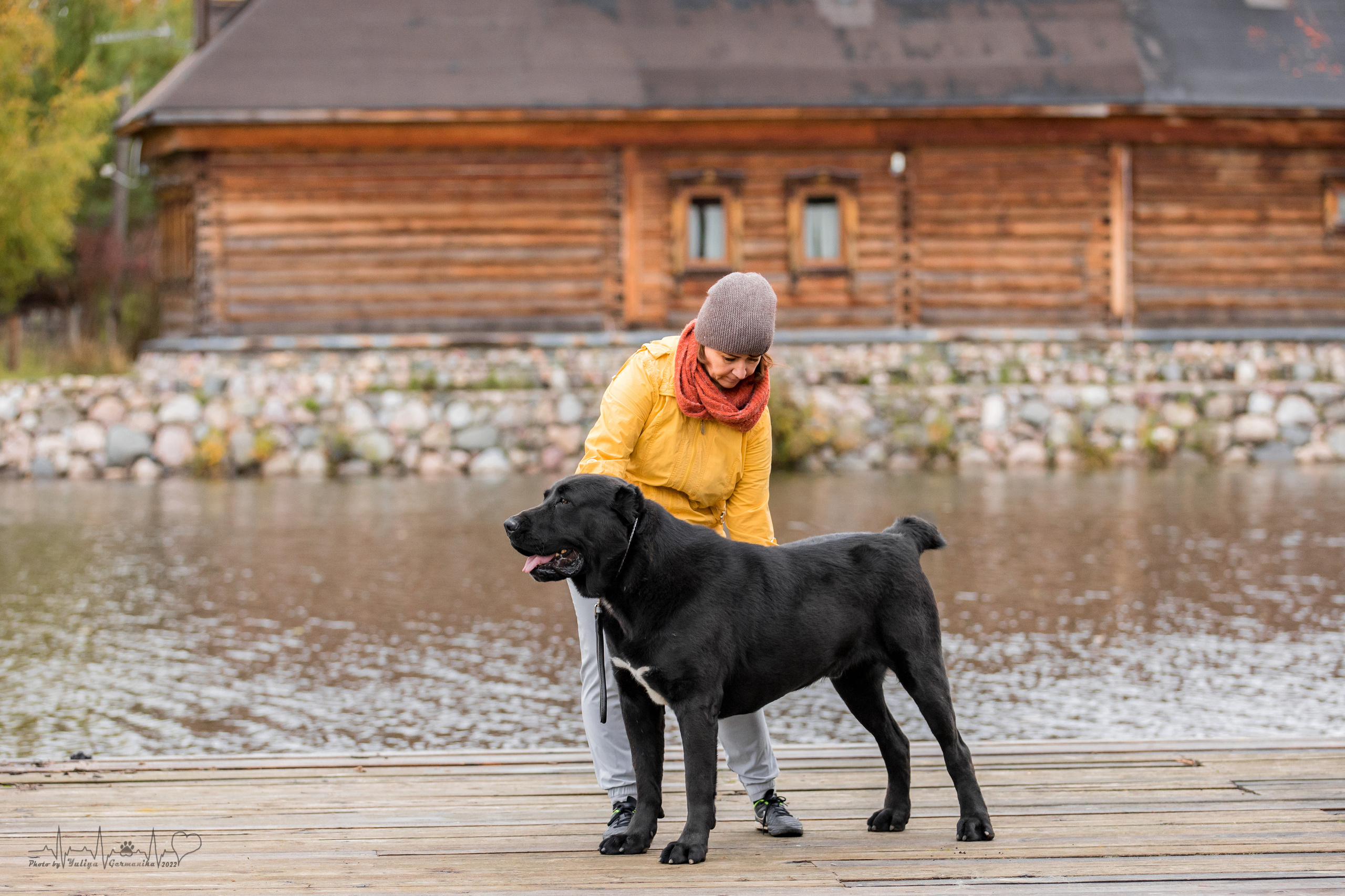Александрова Слобода моно сао 2.10.2022. Фотограф-анималист Юлия Германика