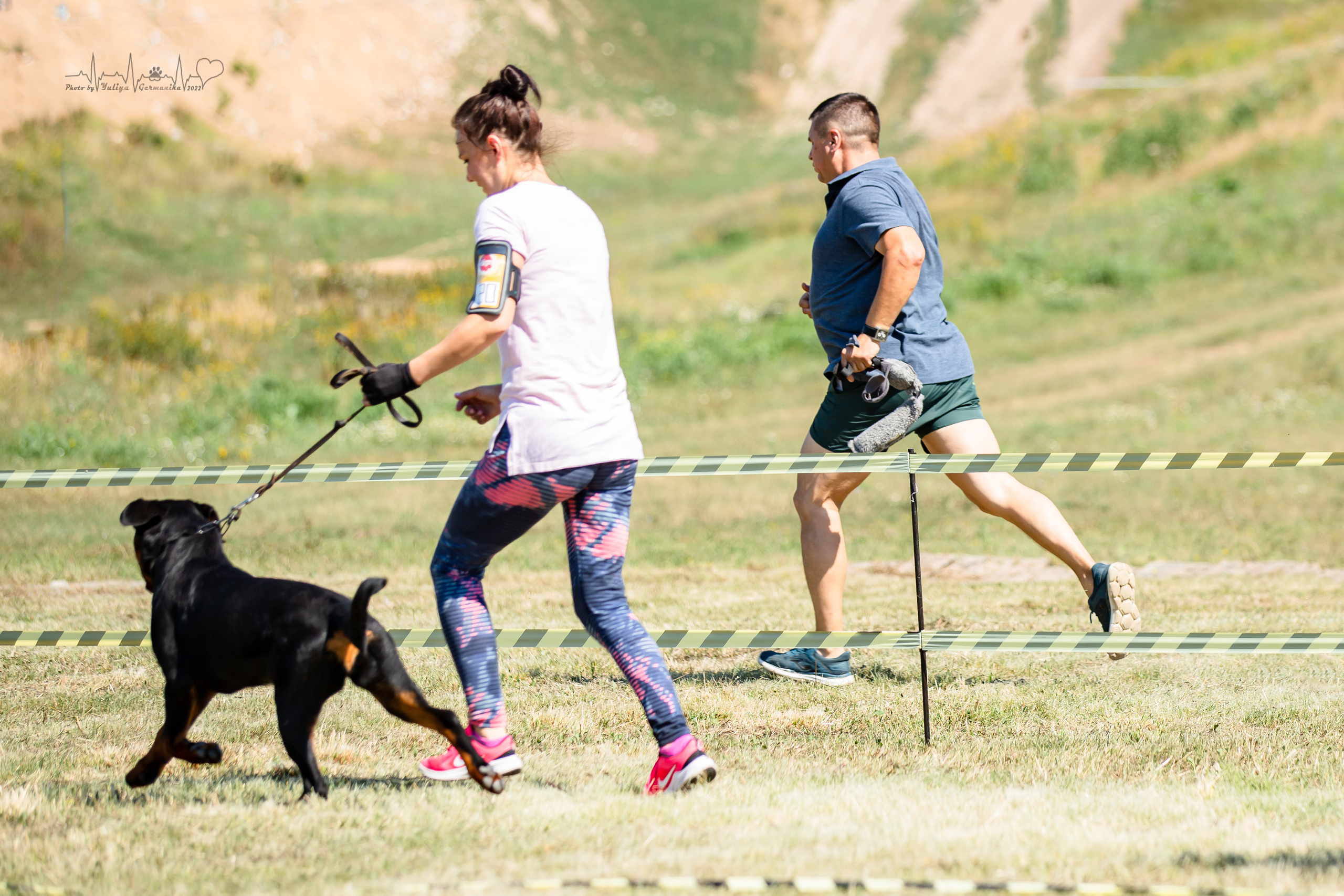 Рязань моно ротвейлеров 13.08.2022. Фотограф-анималист Юлия Германика