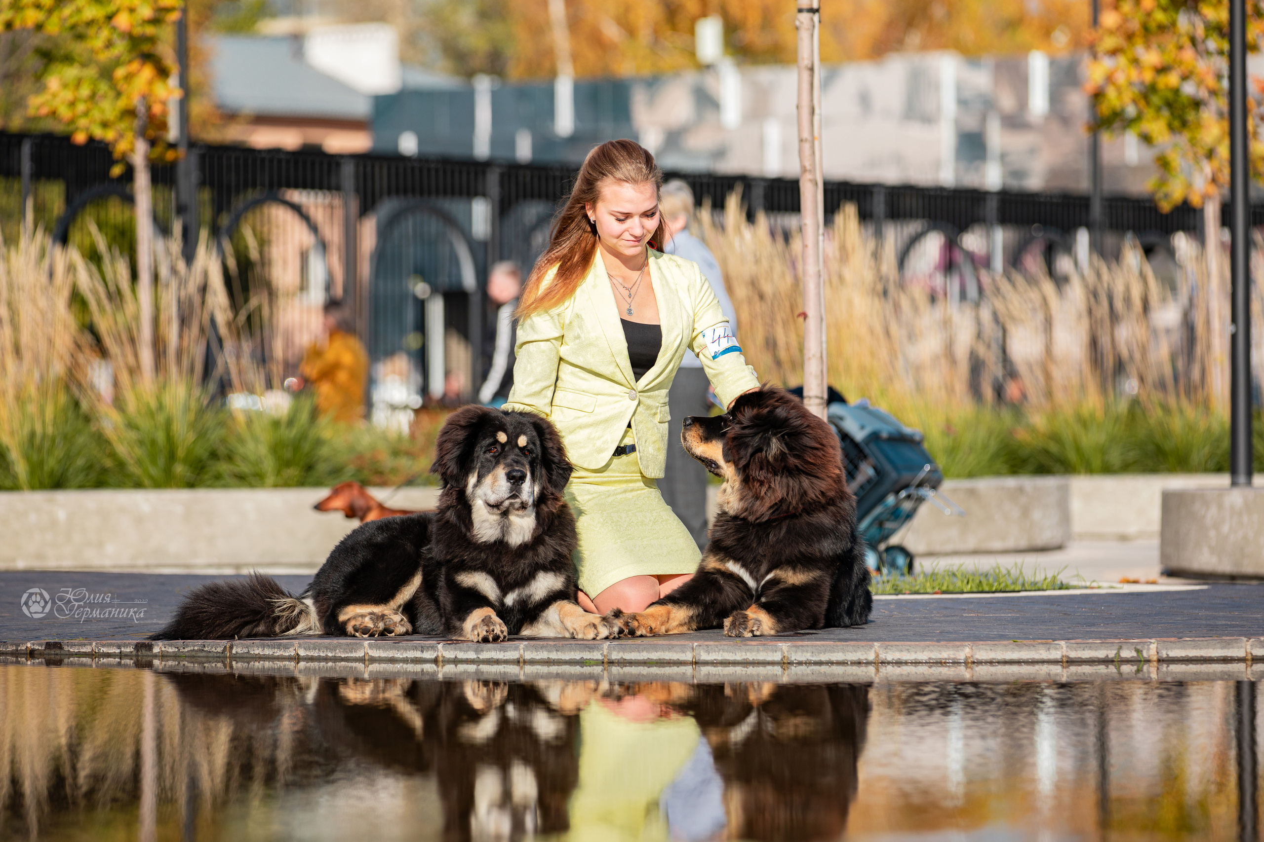 Нижний Новгород 15-16.10.2022. Фотограф-анималист Юлия Германика