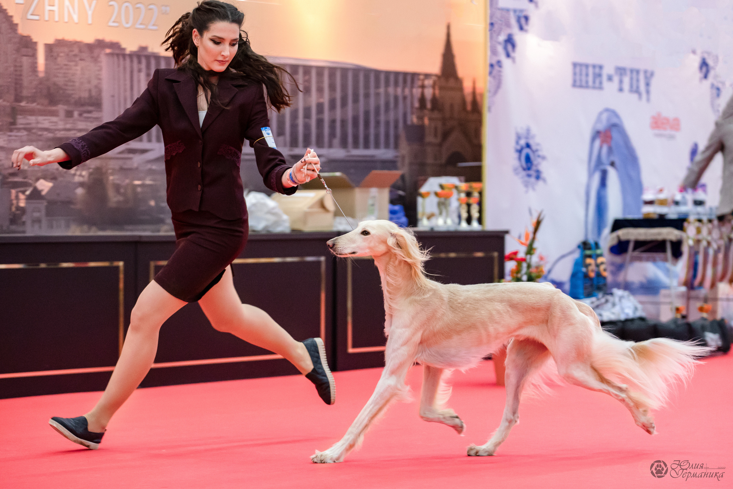 Нижний Новгород 15-16.10.2022. Фотограф-анималист Юлия Германика