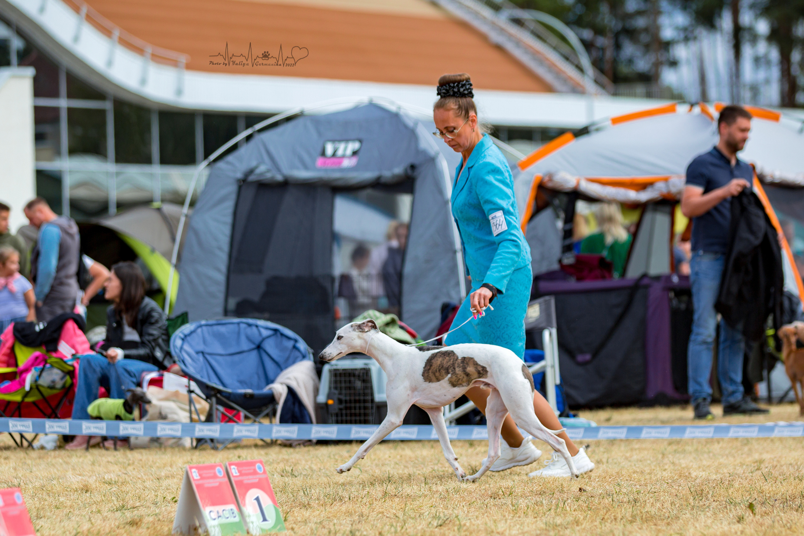 Минск 2хCACIB 3-4.09.2022. Фотограф-анималист Юлия Германика