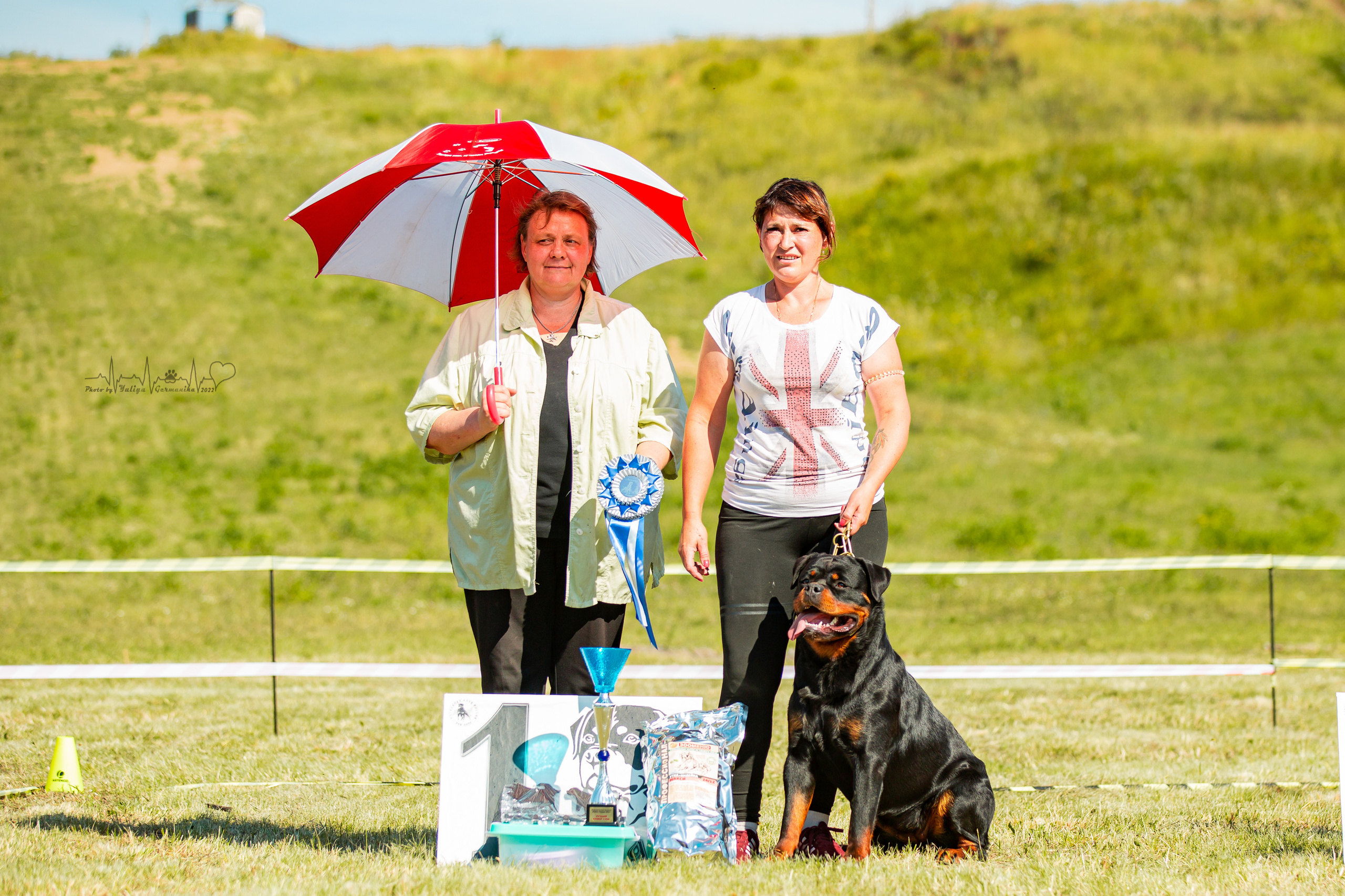 Рязань моно ротвейлеров 13.08.2022. Фотограф-анималист Юлия Германика