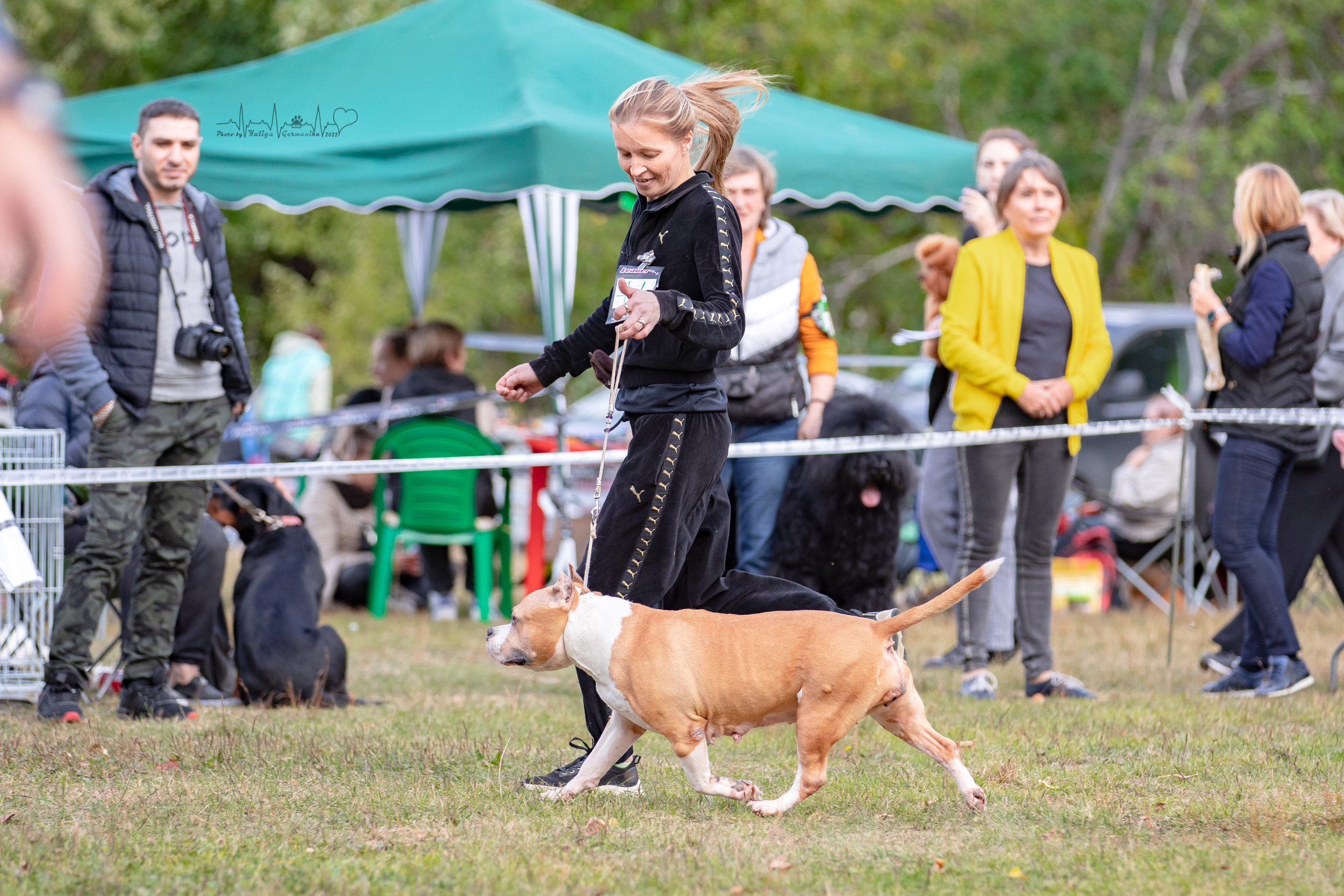 Пушкино ЧРКФ 17.09.2022. Фотограф-анималист Юлия Германика