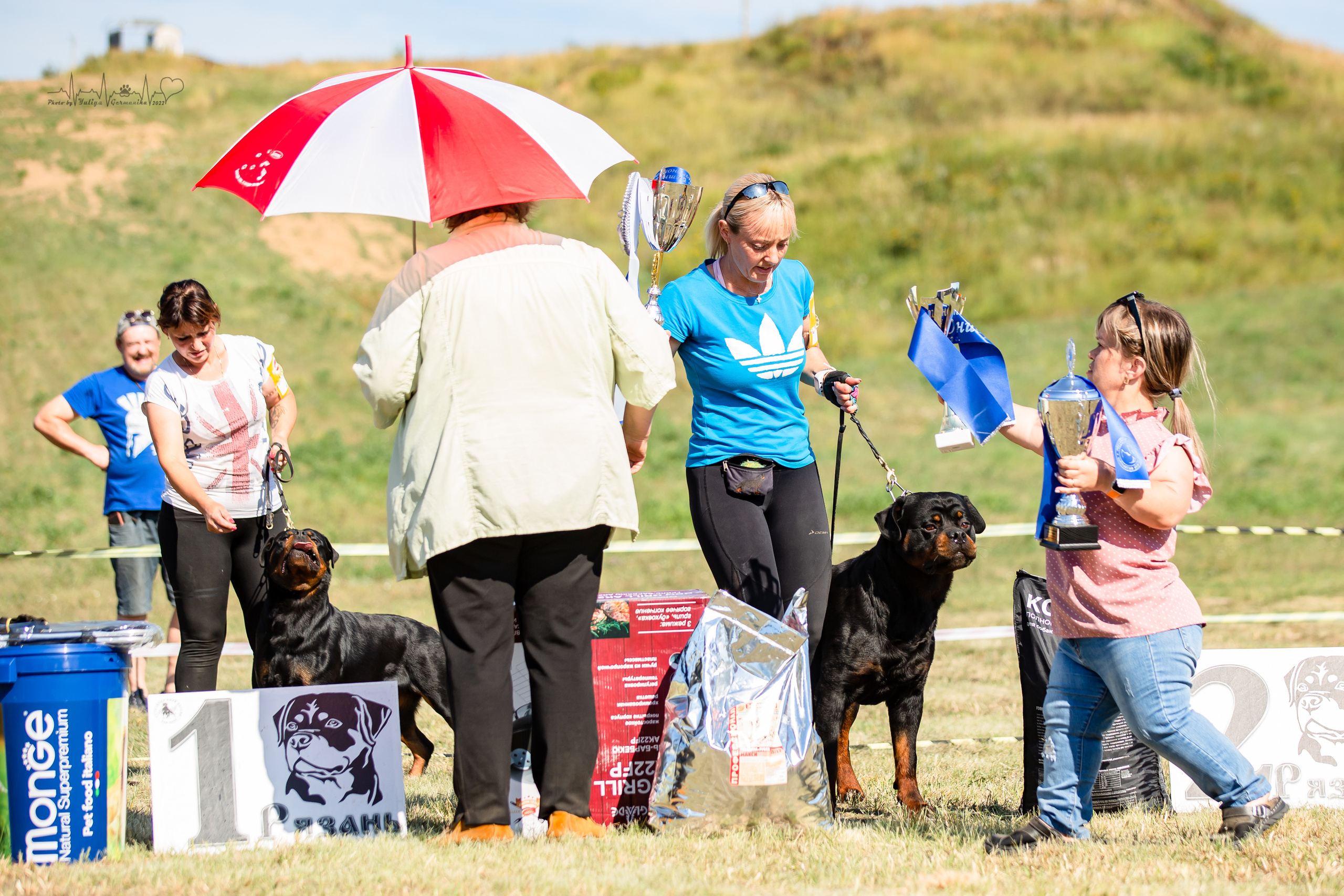 Рязань моно ротвейлеров 13.08.2022. Фотограф-анималист Юлия Германика