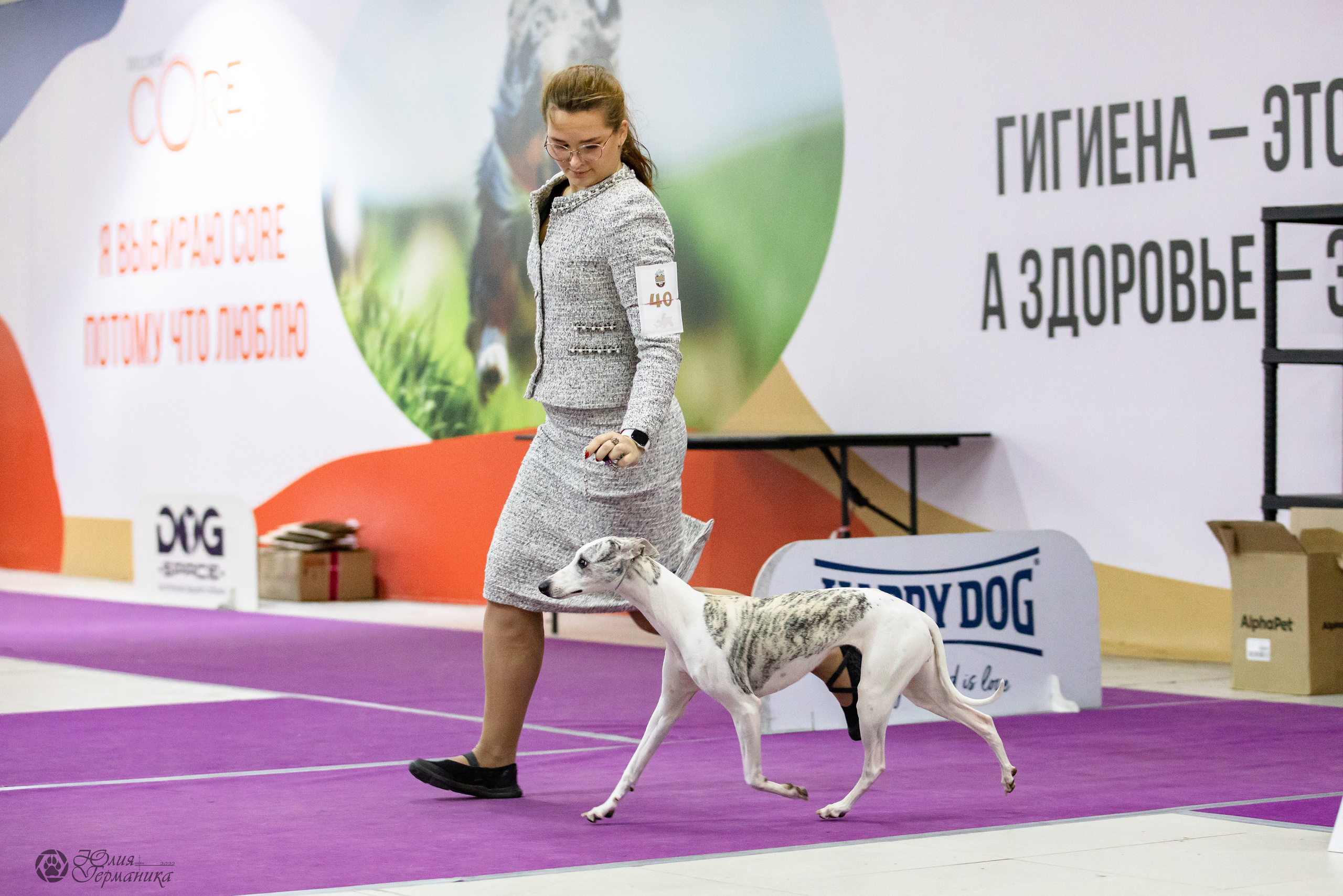 Чайна-Таун 29-30.10.2022. Фотограф-анималист Юлия Германика