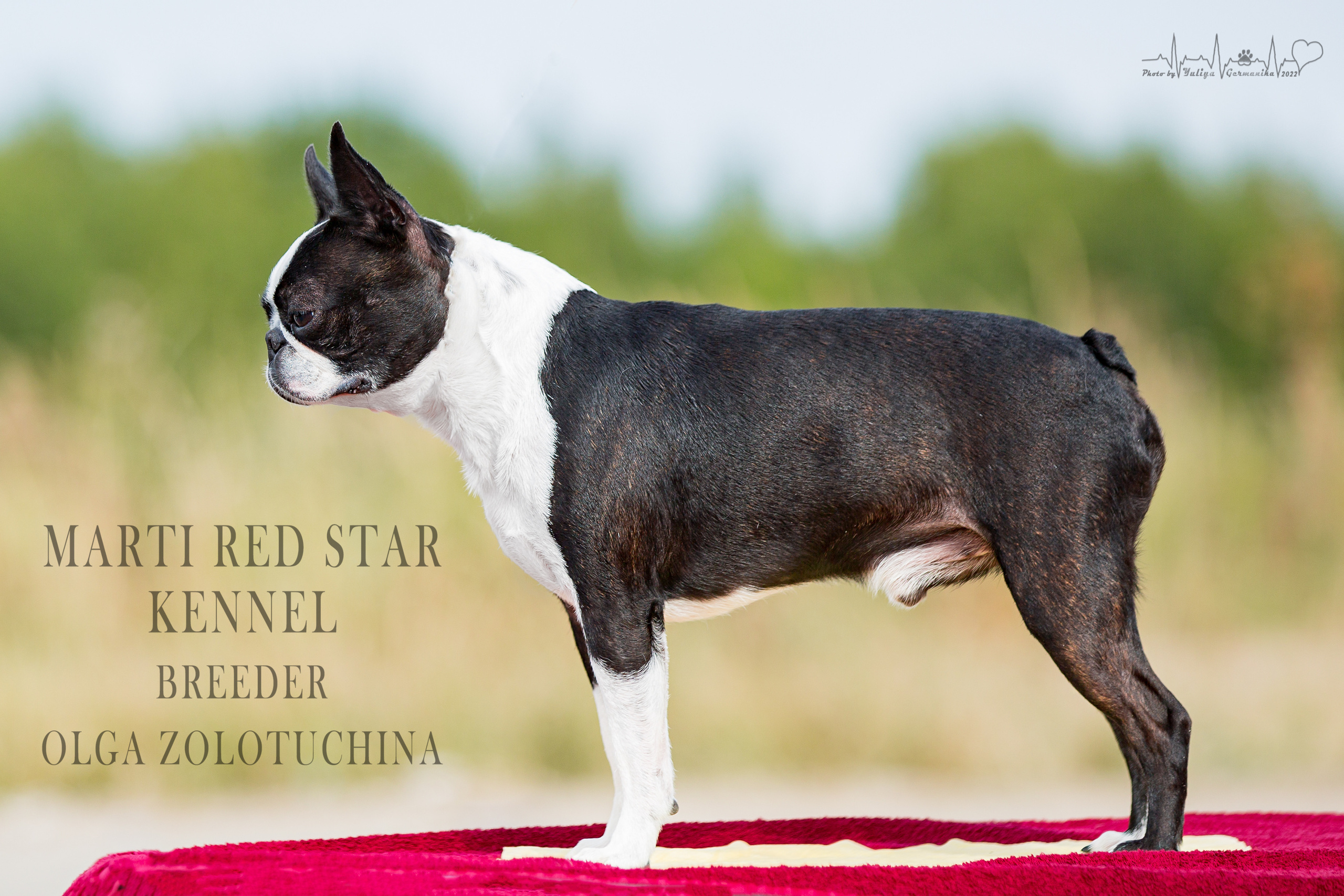 Сокольники 21.08,Сергиев Посад 27-28.08 2022. Фотограф-анималист Юлия Германика