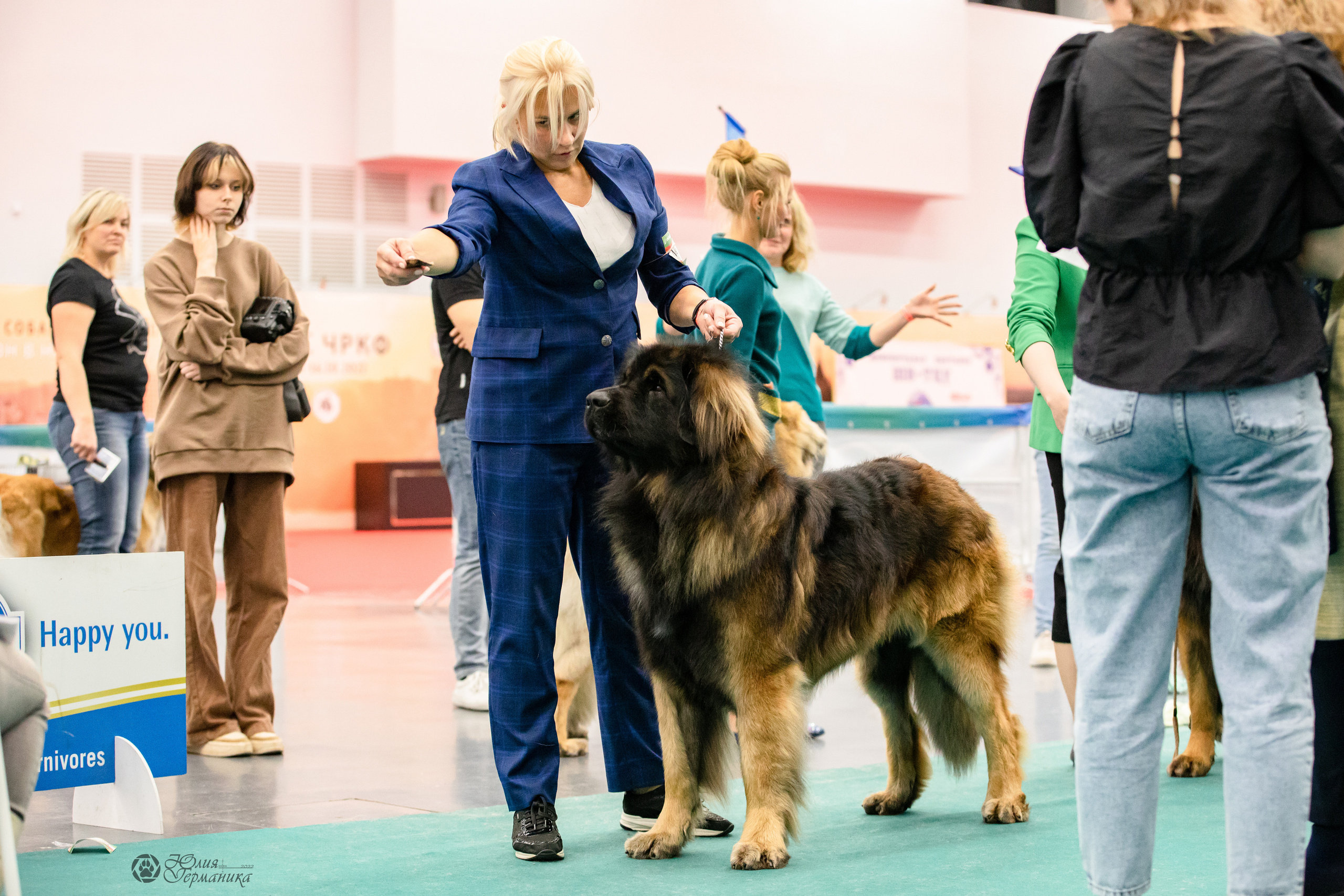 Нижний Новгород 15-16.10.2022. Фотограф-анималист Юлия Германика