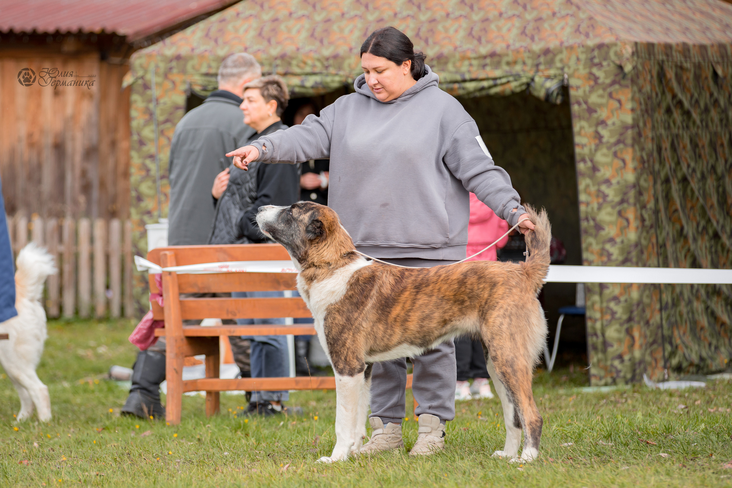 Александрова Слобода моно сао 2.10.2022. Фотограф-анималист Юлия Германика