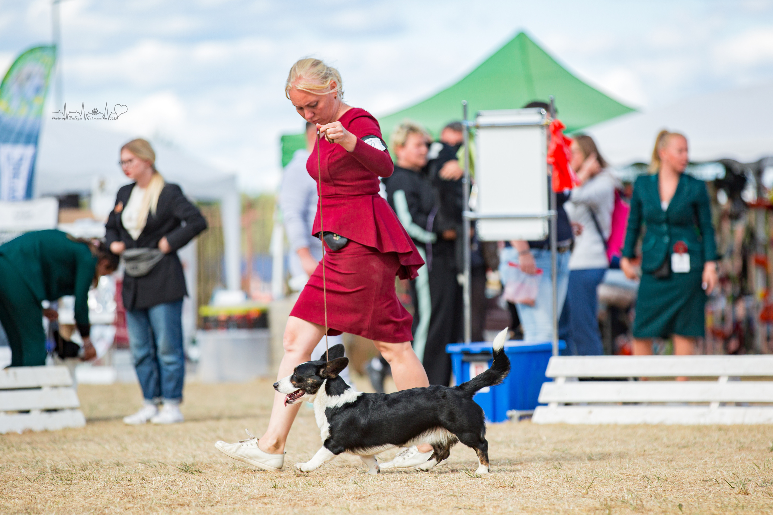Минск 2хCACIB 3-4.09.2022. Фотограф-анималист Юлия Германика