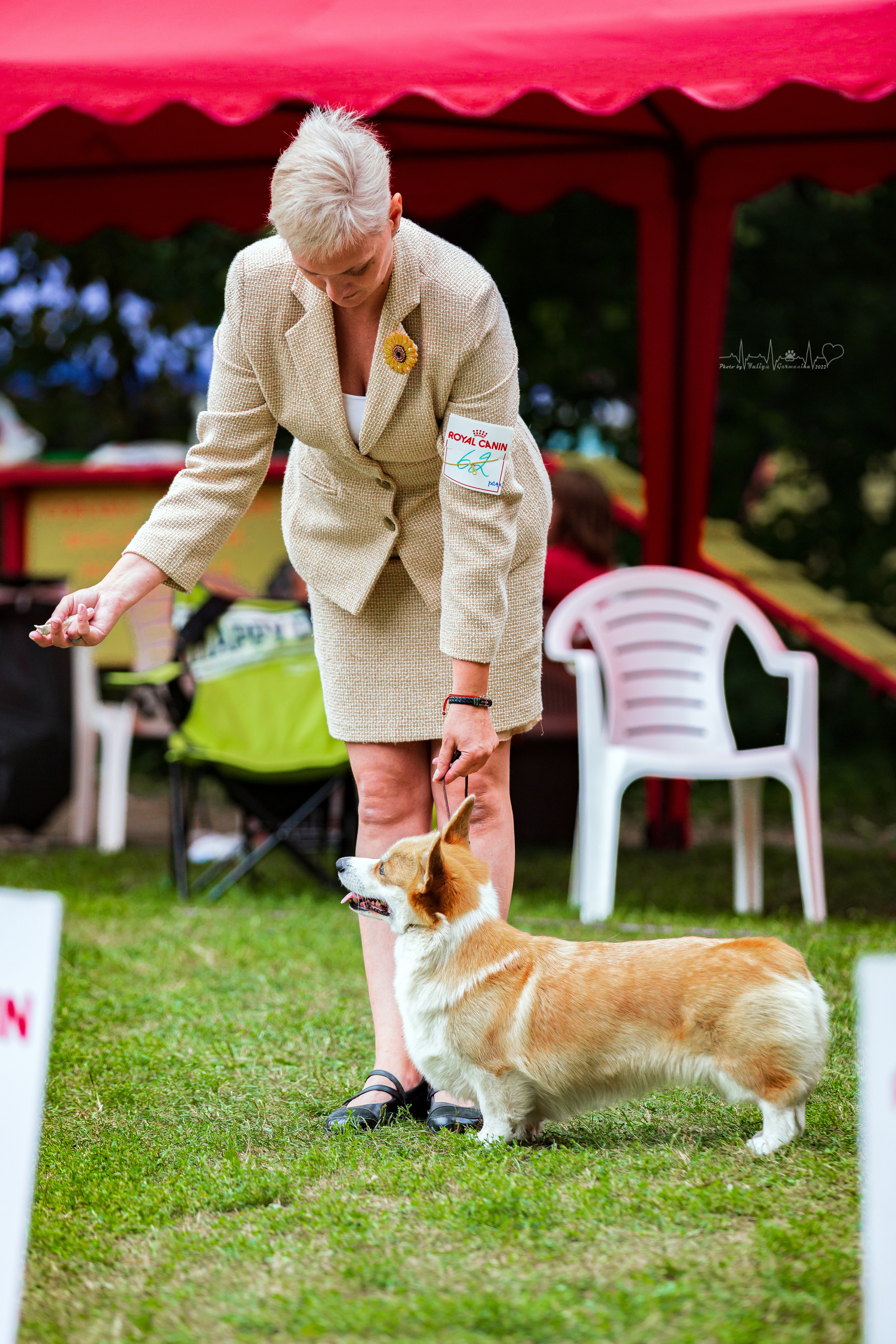 Сокольники 21.08,Сергиев Посад 27-28.08 2022. Фотограф-анималист Юлия Германика