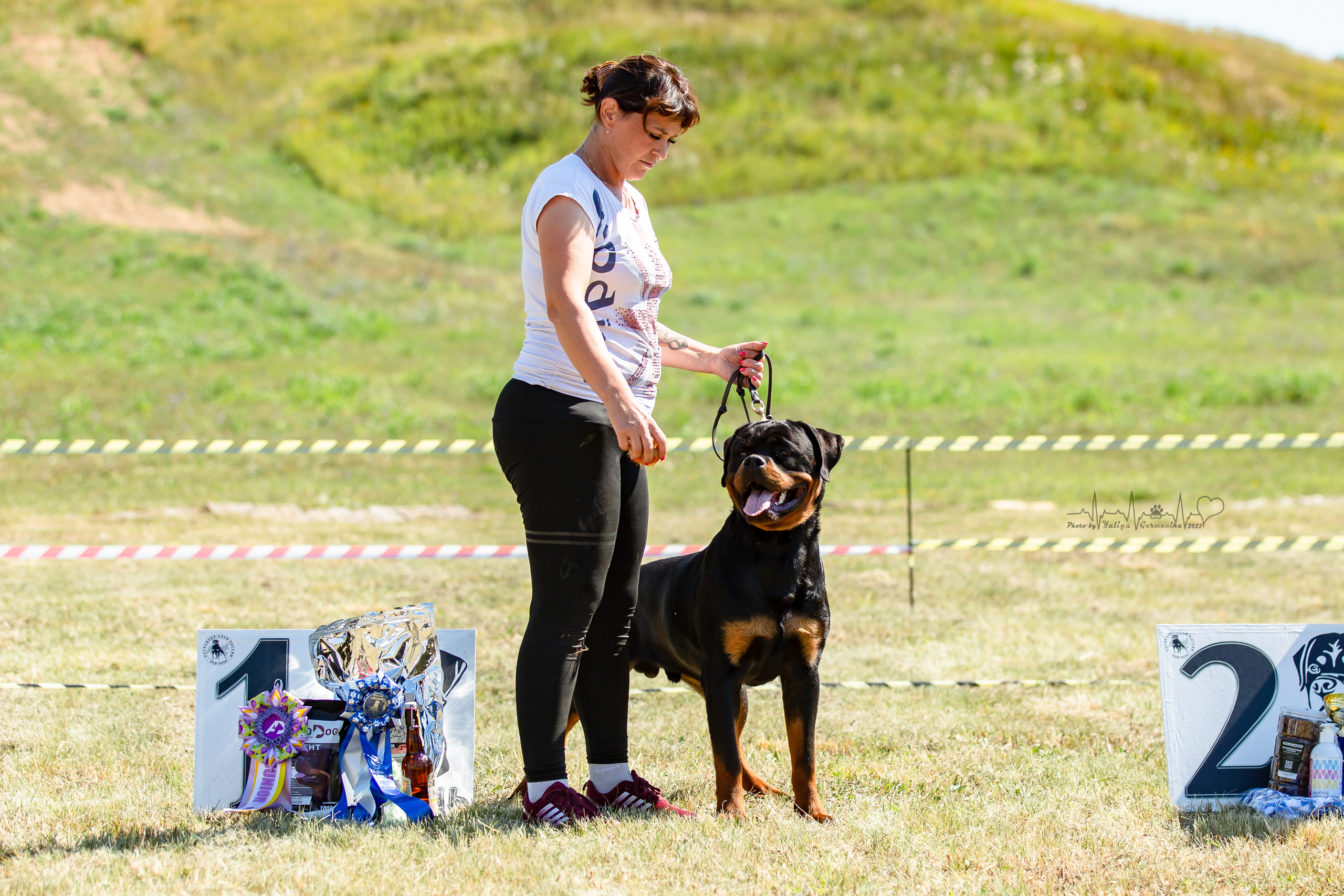 Рязань моно ротвейлеров 13.08.2022. Фотограф-анималист Юлия Германика