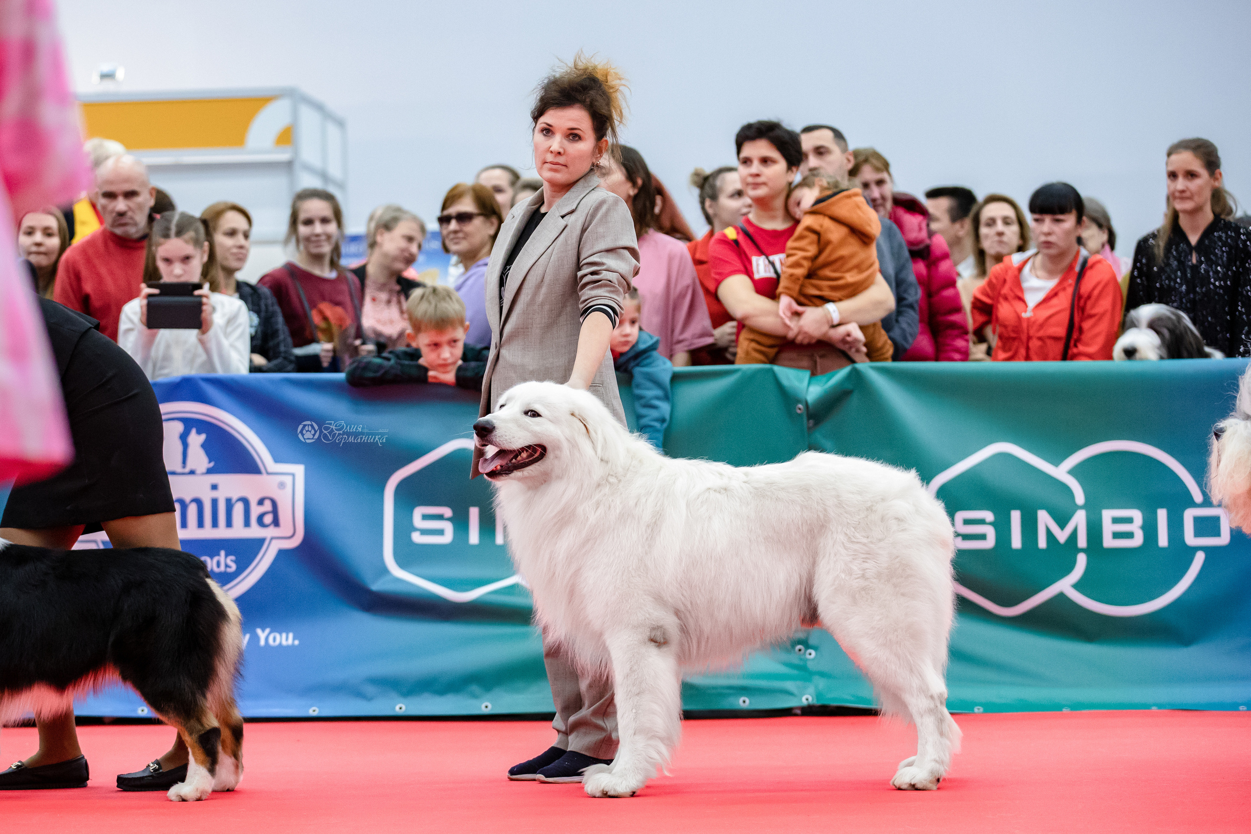 Нижний Новгород 15-16.10.2022. Фотограф-анималист Юлия Германика
