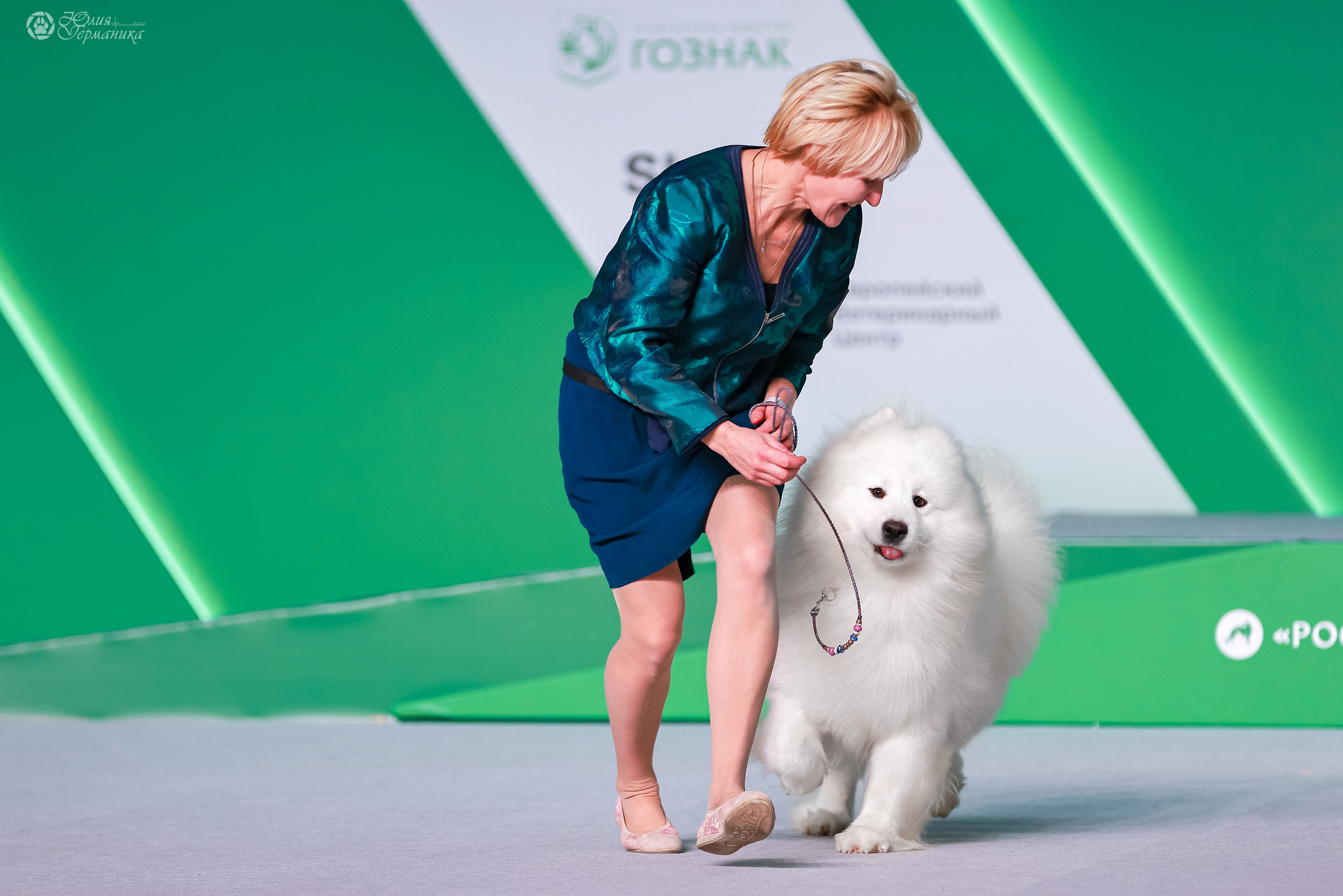 Россия 2020-2022 26-27.11.2022. Фотограф-анималист Юлия Германика