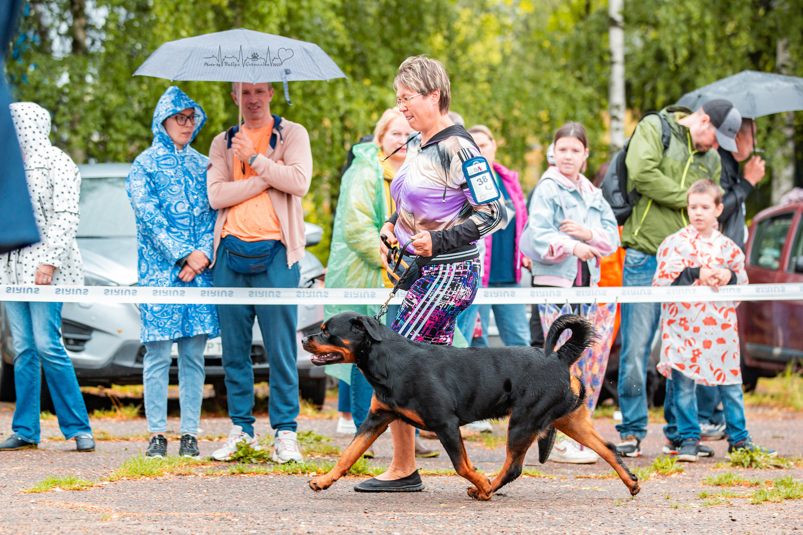 Ховрино 31.07,Чайна-Таун 6.08,Тверь 7.08. Фотограф-анималист Юлия Германика