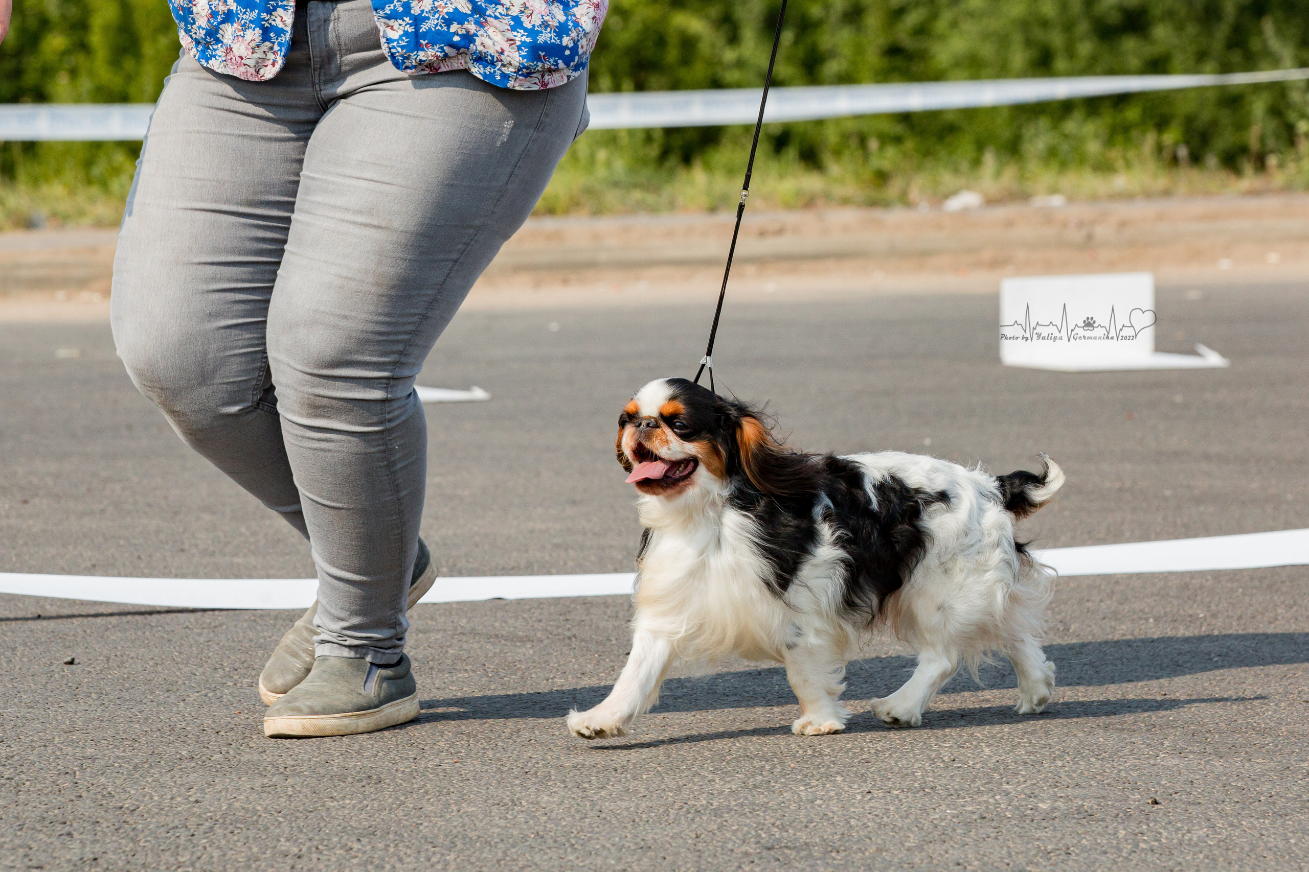Сокольники 21.08,Сергиев Посад 27-28.08 2022. Фотограф-анималист Юлия Германика