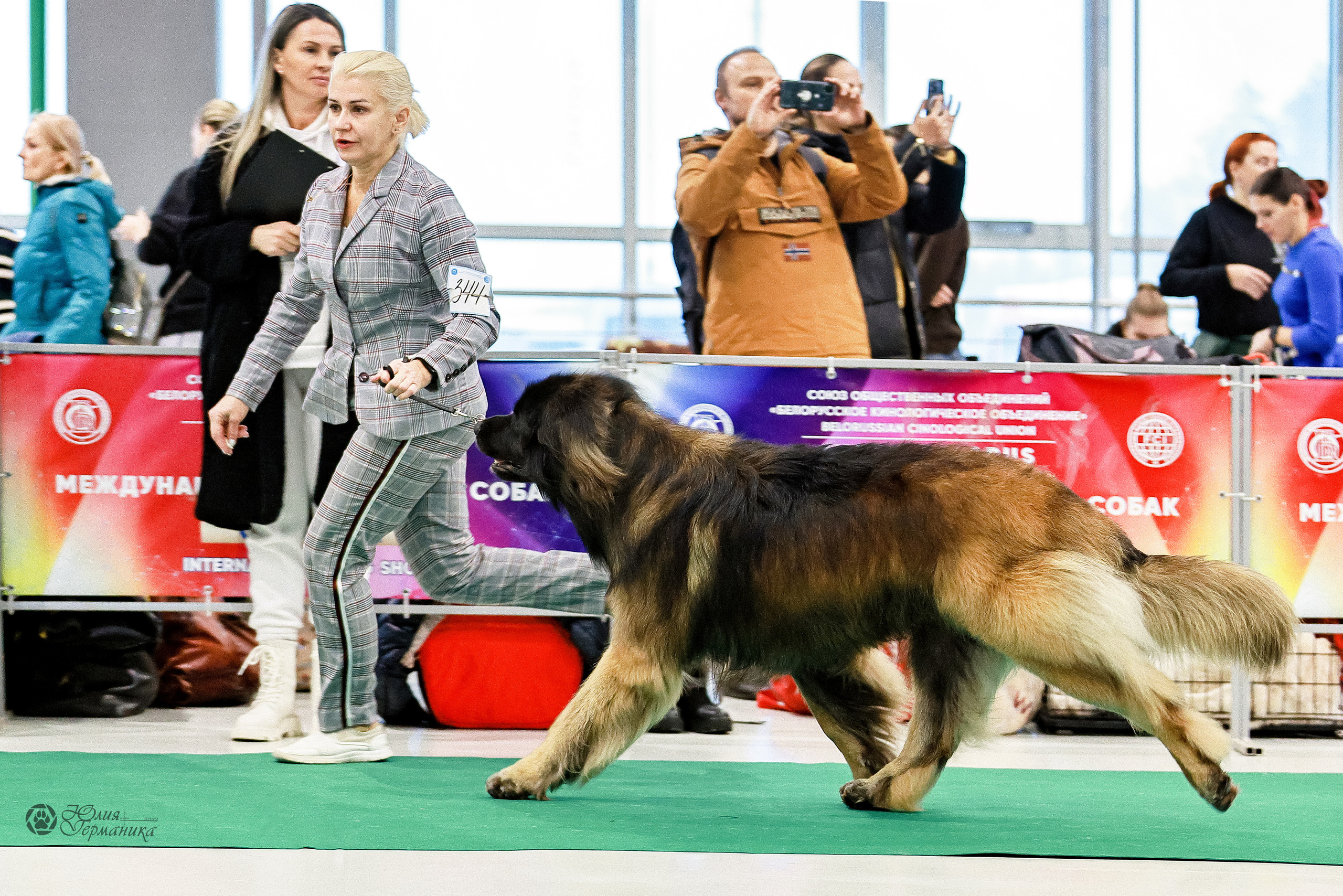 Минск 19-20.11.2022. Фотограф-анималист Юлия Германика