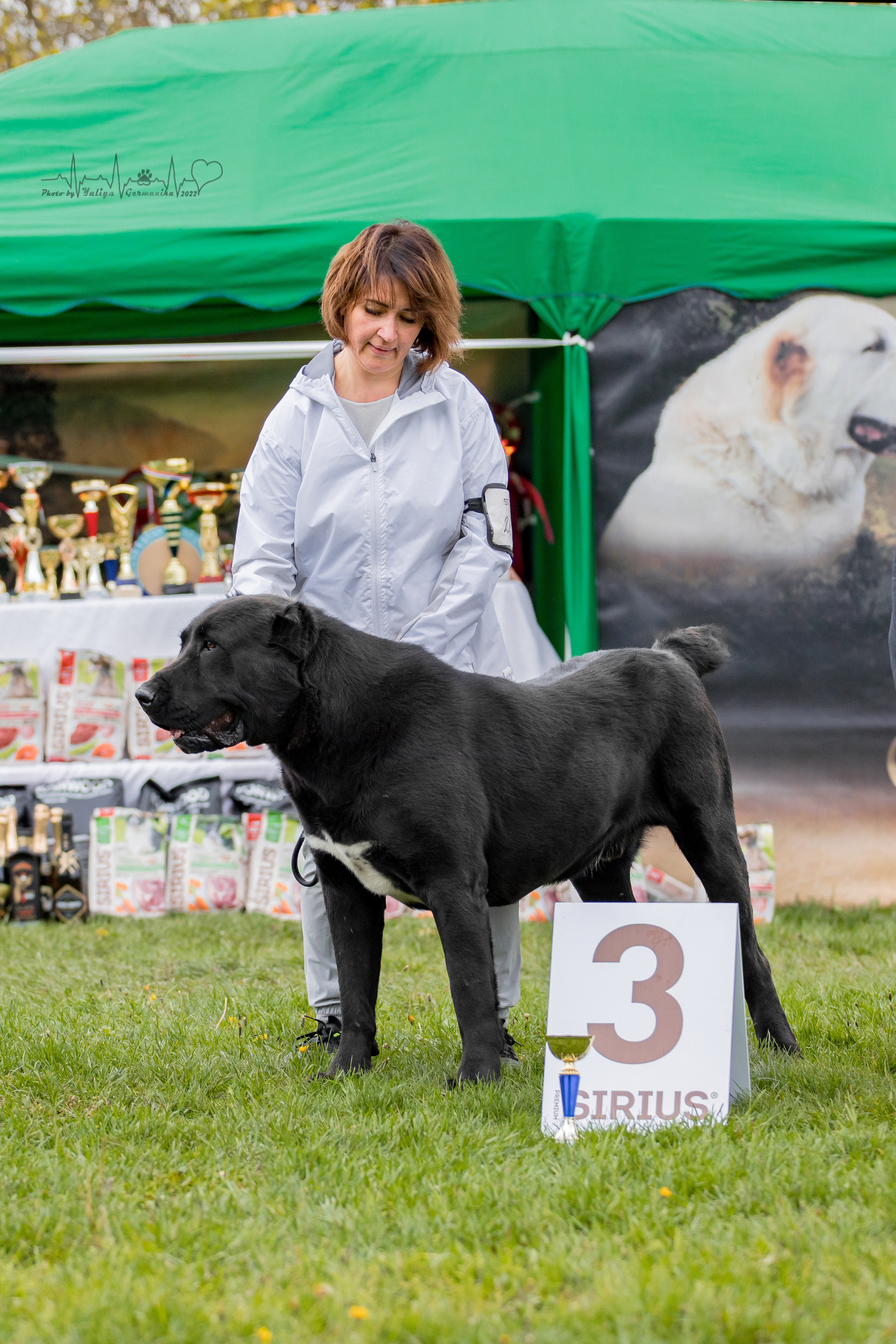 Александрова Слобода моно сао 2.10.2022. Фотограф-анималист Юлия Германика