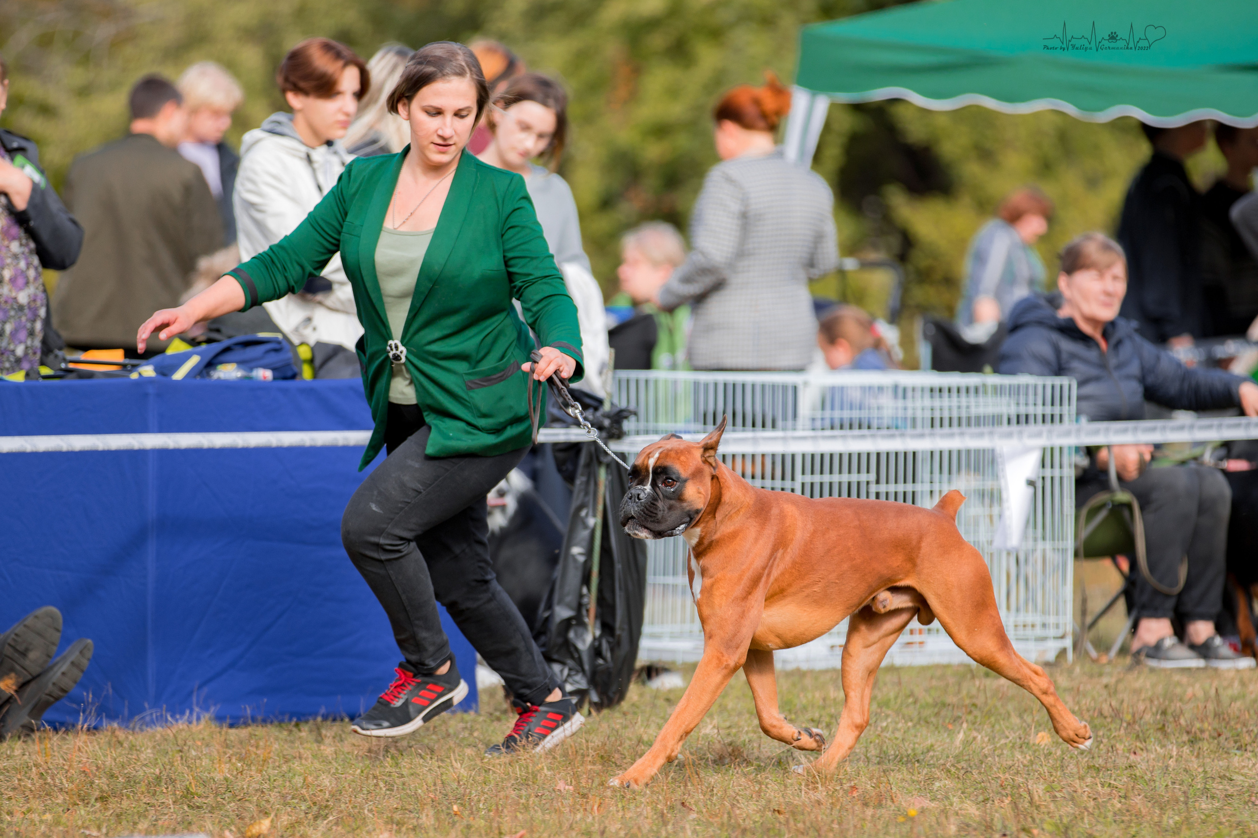 Пушкино ЧРКФ 17.09.2022. Фотограф-анималист Юлия Германика