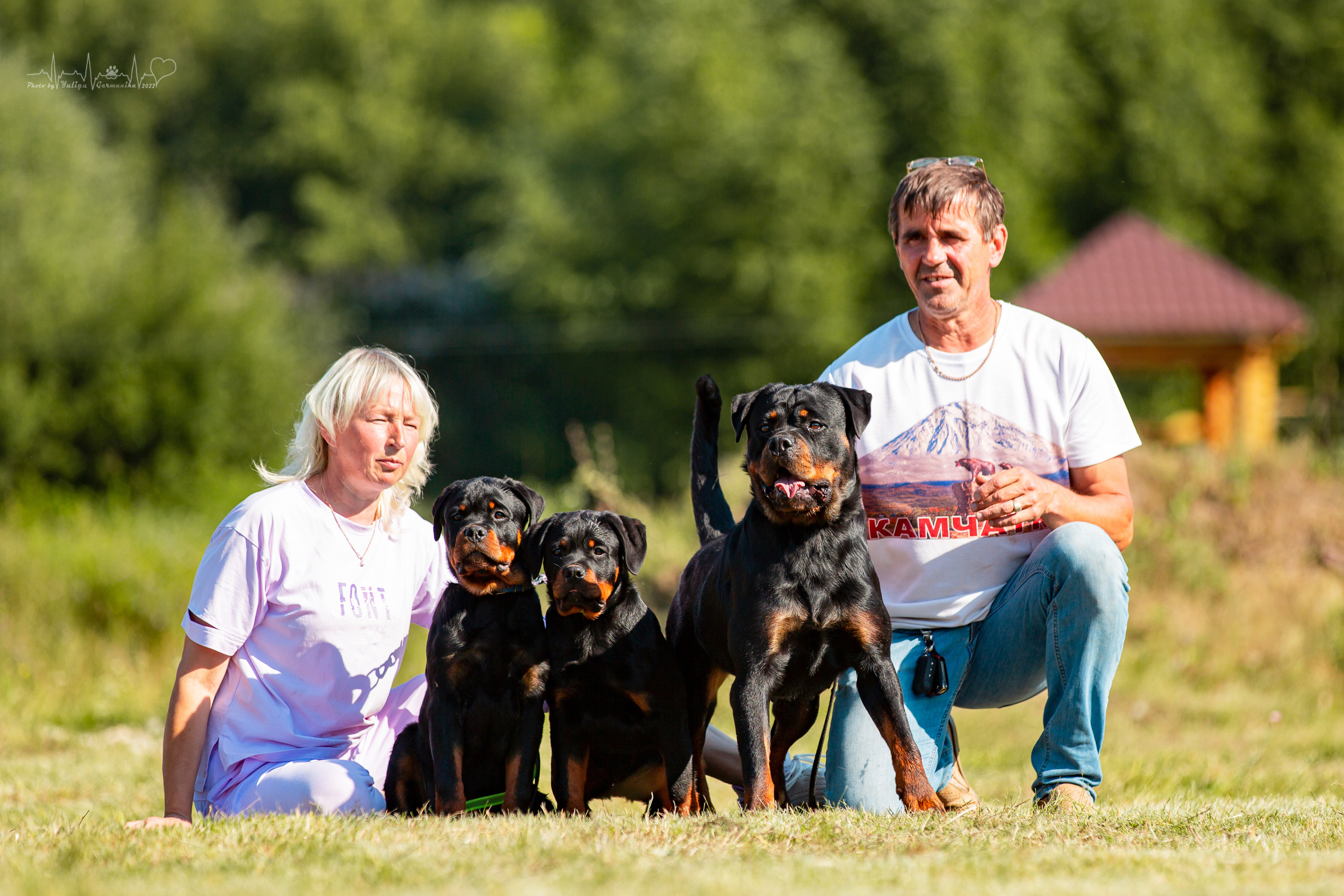 Рязань моно ротвейлеров 13.08.2022. Фотограф-анималист Юлия Германика