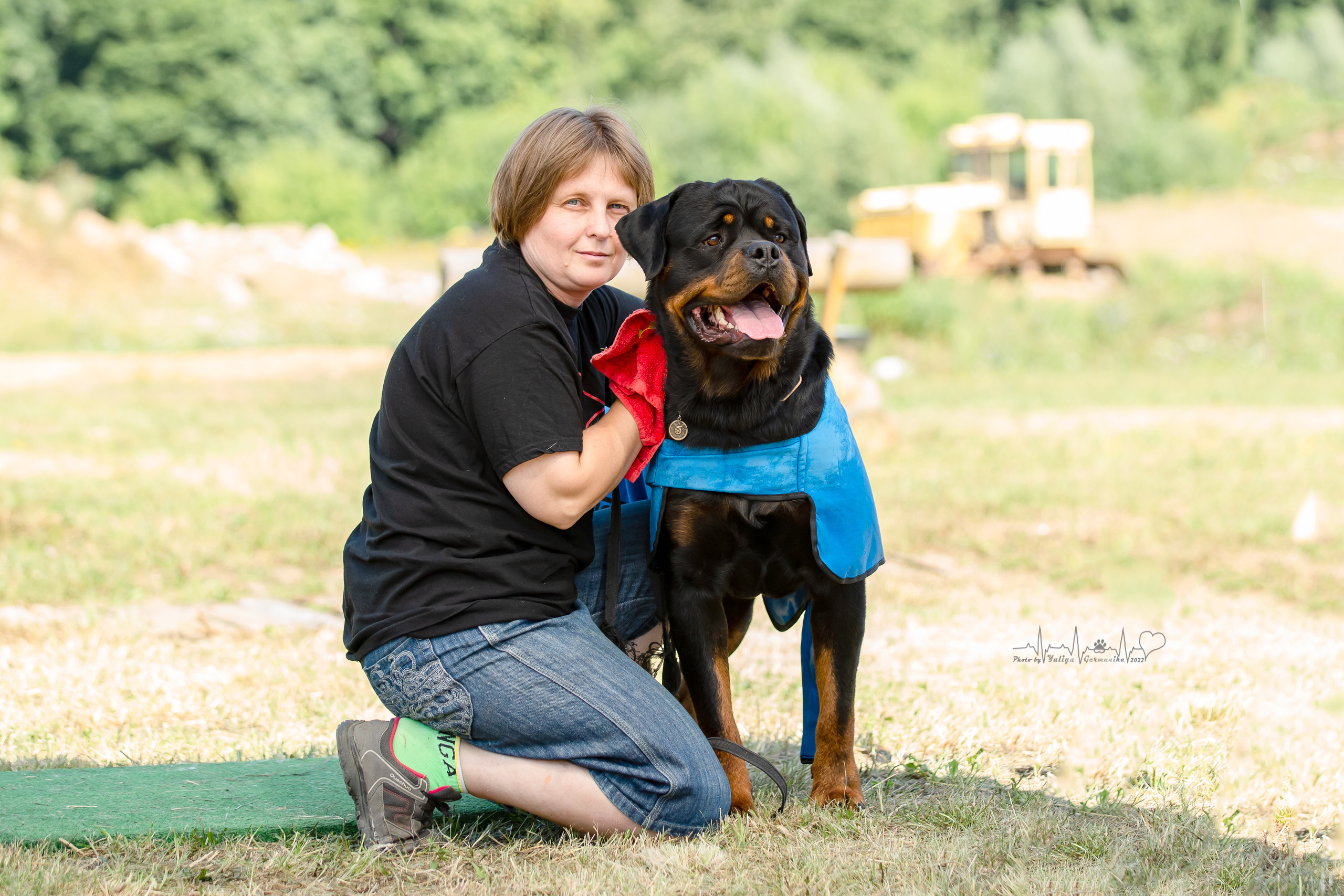 Рязань моно ротвейлеров 13.08.2022. Фотограф-анималист Юлия Германика