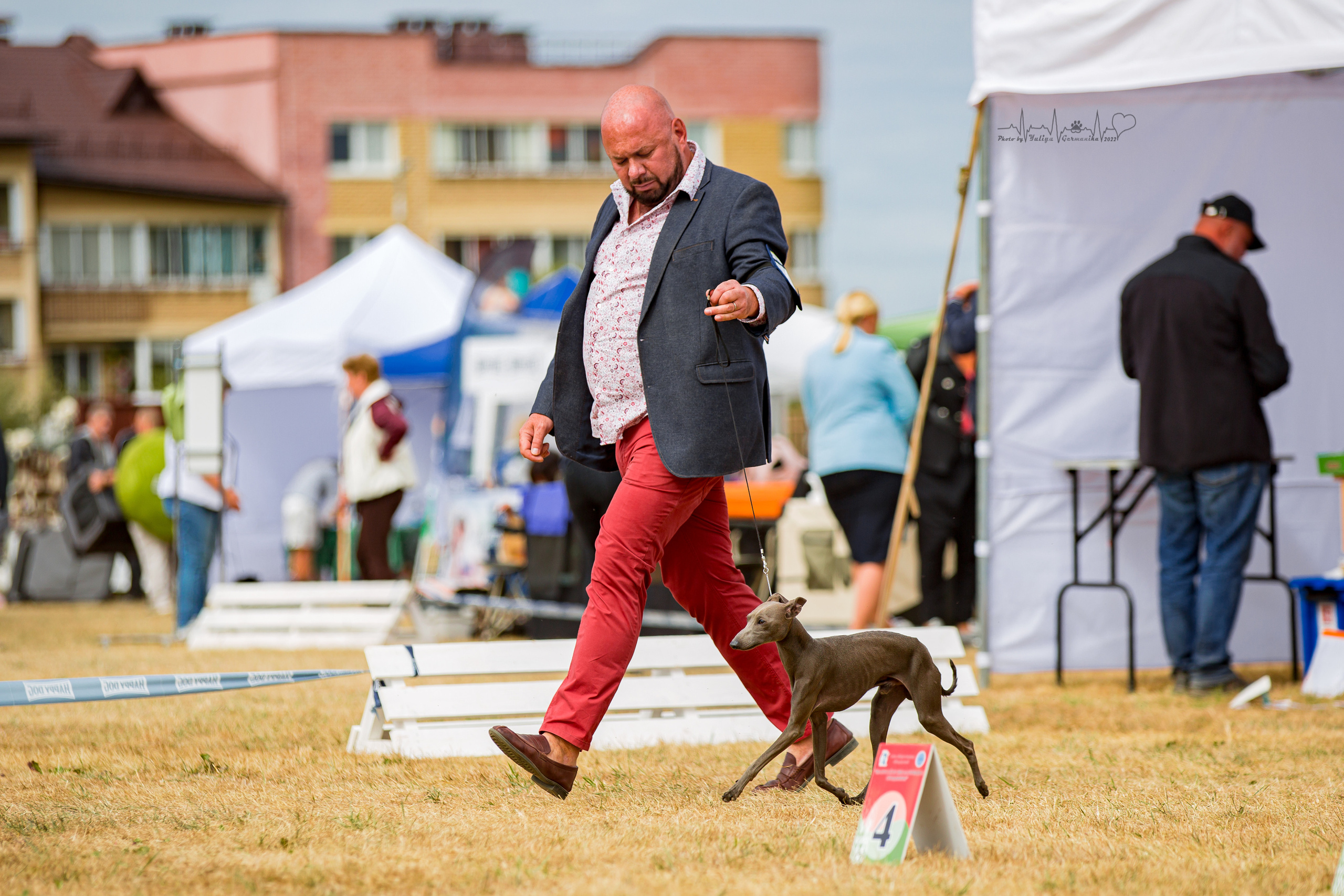 Минск 2хCACIB 3-4.09.2022. Фотограф-анималист Юлия Германика