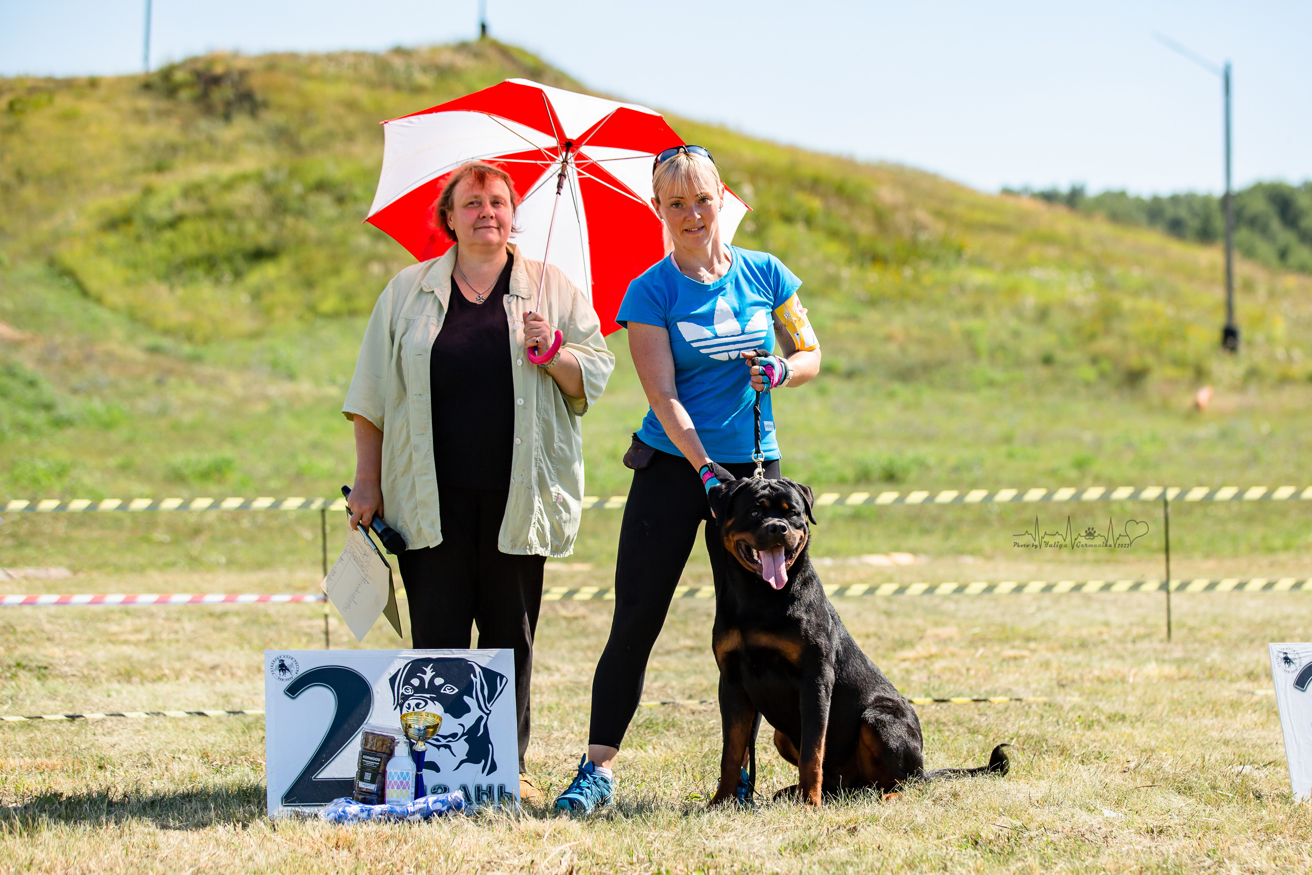 Рязань моно ротвейлеров 13.08.2022. Фотограф-анималист Юлия Германика