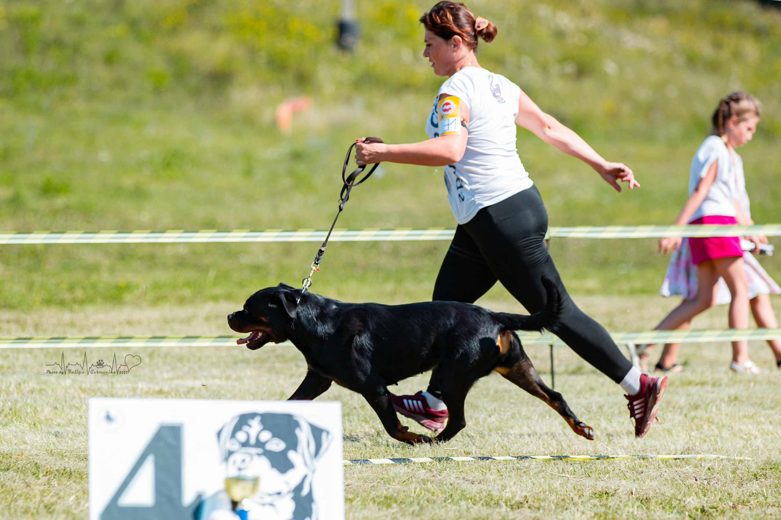 Рязань моно ротвейлеров 13.08.2022. Фотограф-анималист Юлия Германика