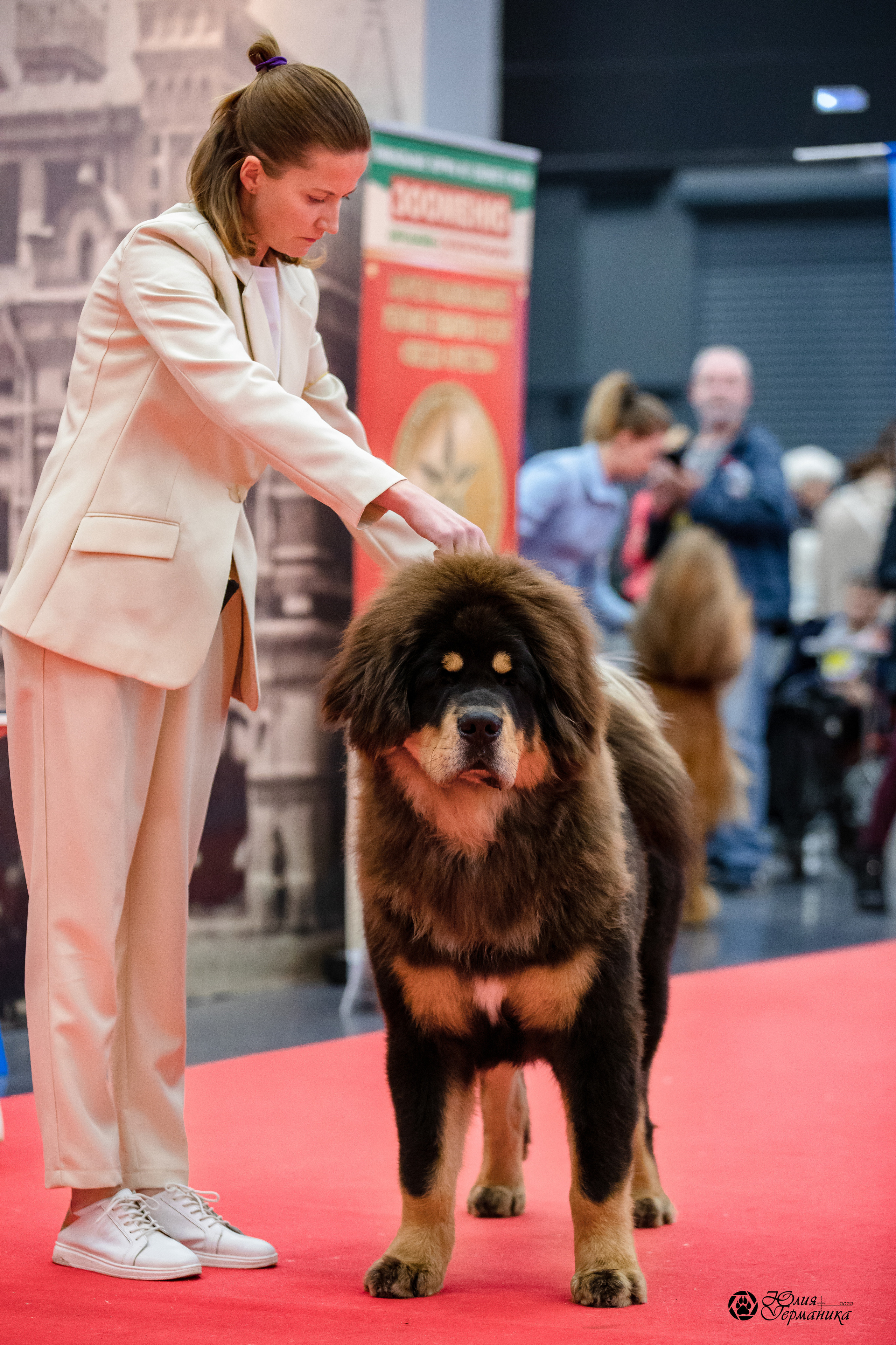 Нижний Новгород 15-16.10.2022. Фотограф-анималист Юлия Германика