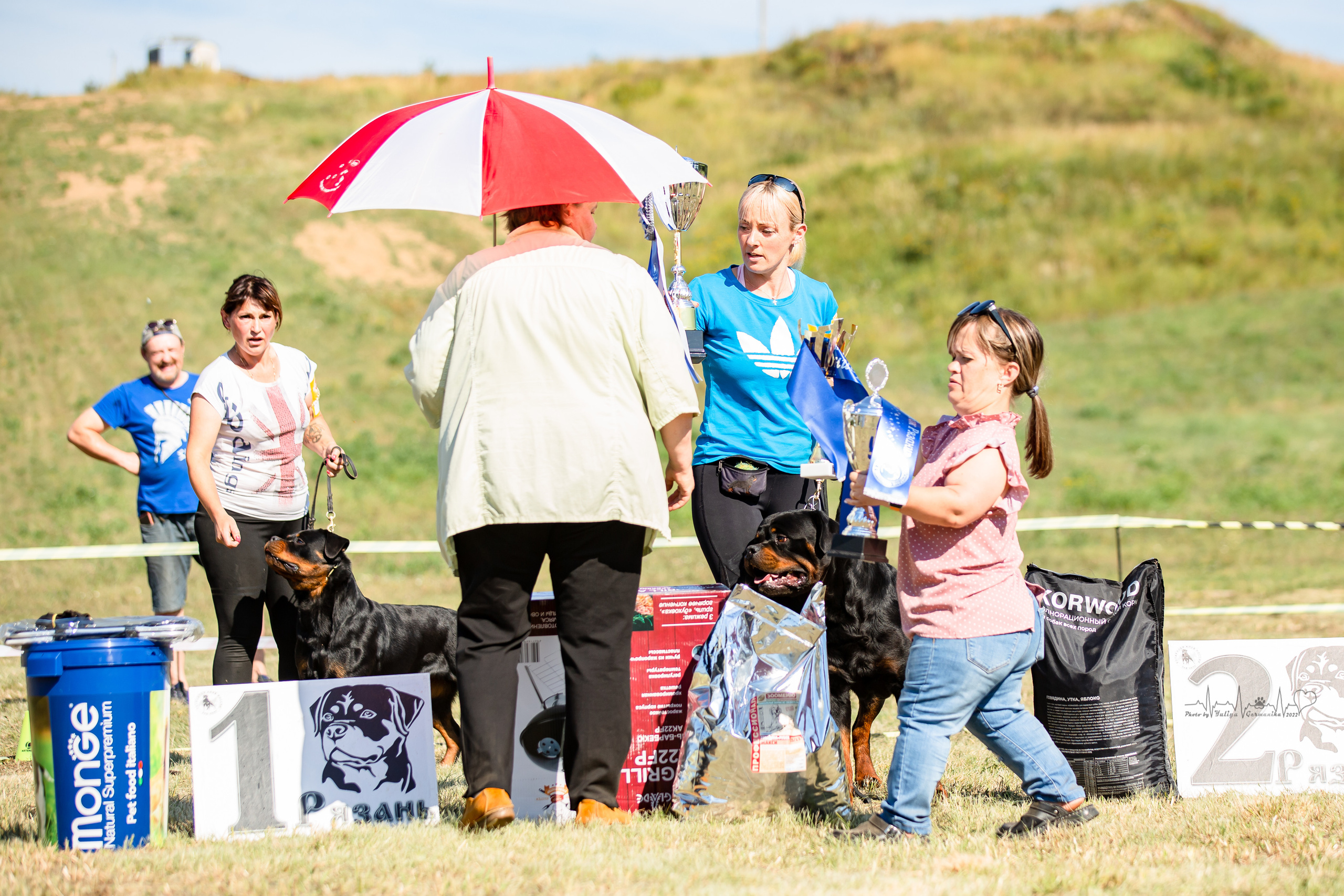 Рязань моно ротвейлеров 13.08.2022. Фотограф-анималист Юлия Германика