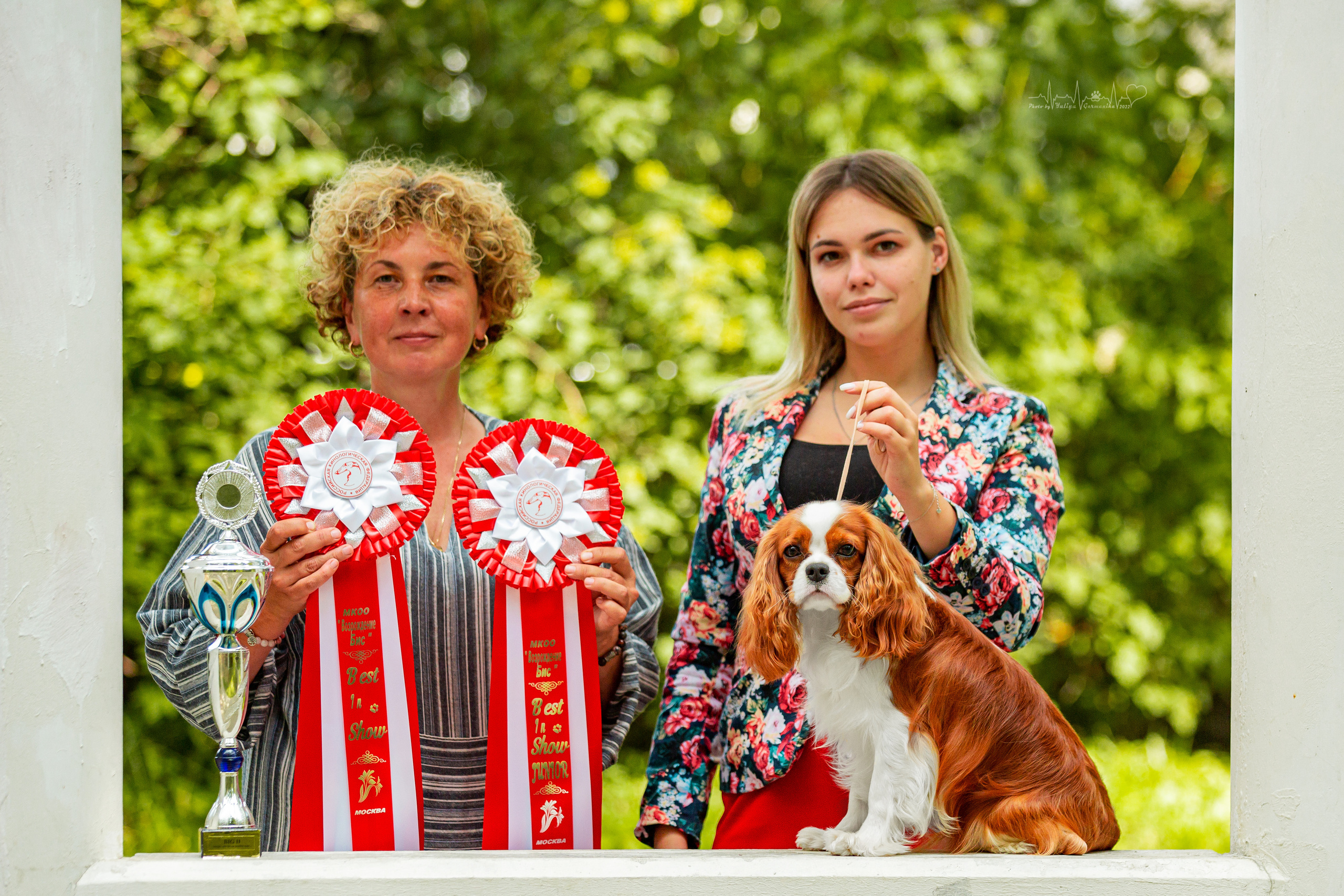 Ховрино фестиваль монопородок 14.08.2022. Фотограф-анималист Юлия Германика