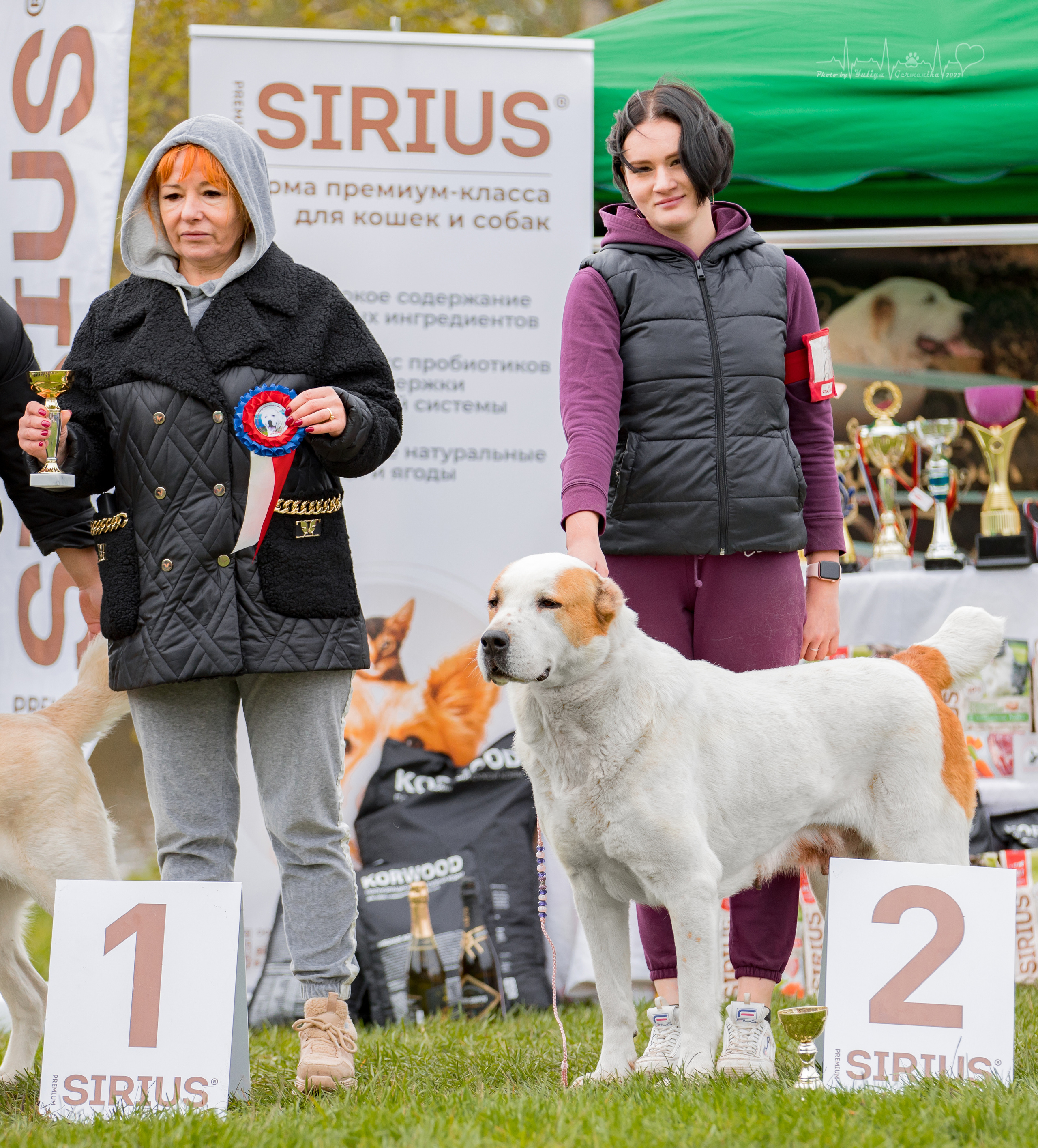 Александрова Слобода моно сао 2.10.2022. Фотограф-анималист Юлия Германика