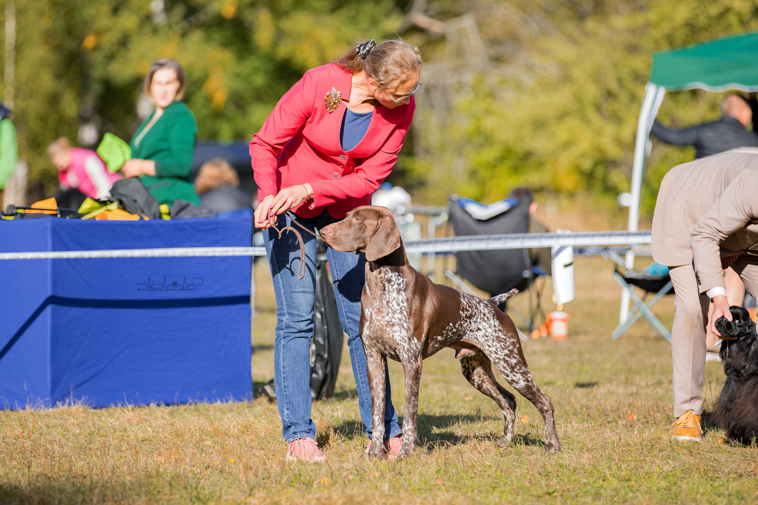 Пушкино ЧРКФ 17.09.2022. Фотограф-анималист Юлия Германика