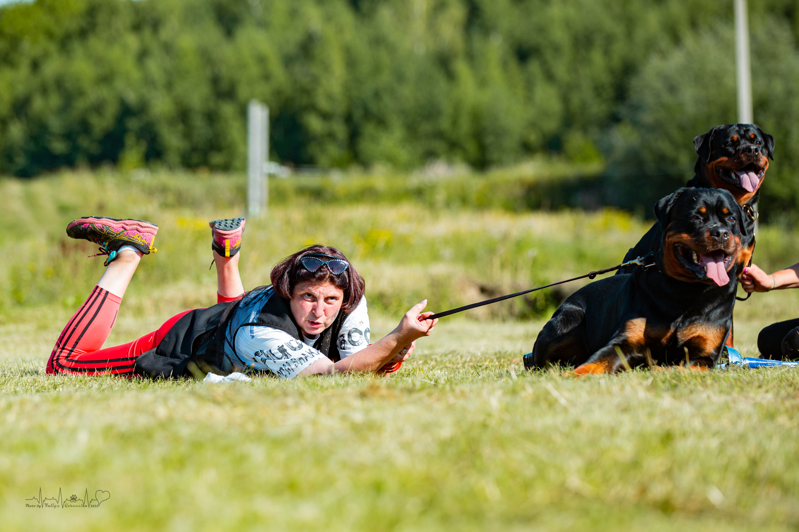 Рязань моно ротвейлеров 13.08.2022. Фотограф-анималист Юлия Германика