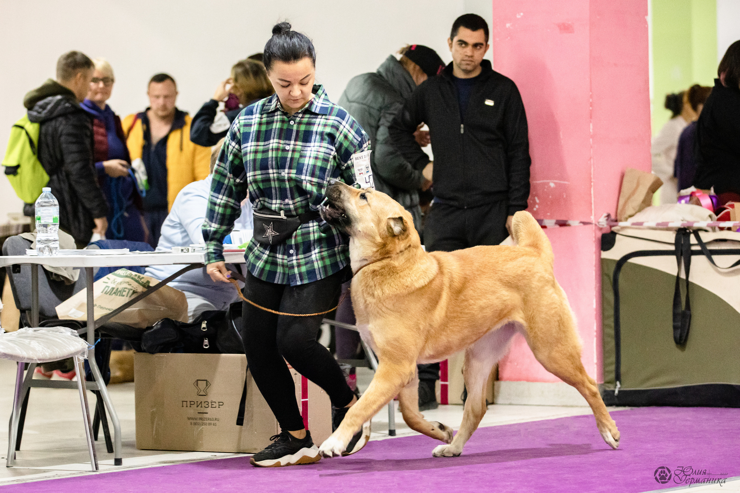Чайна-Таун 29-30.10.2022. Фотограф-анималист Юлия Германика