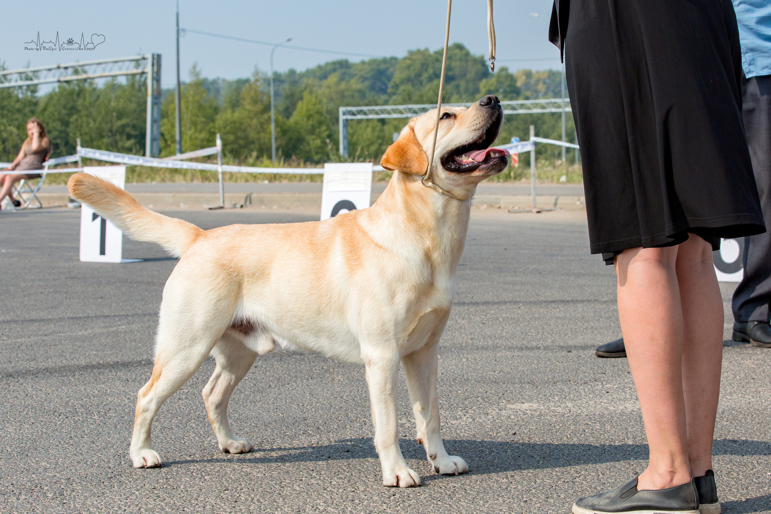 Сокольники 21.08,Сергиев Посад 27-28.08 2022. Фотограф-анималист Юлия Германика