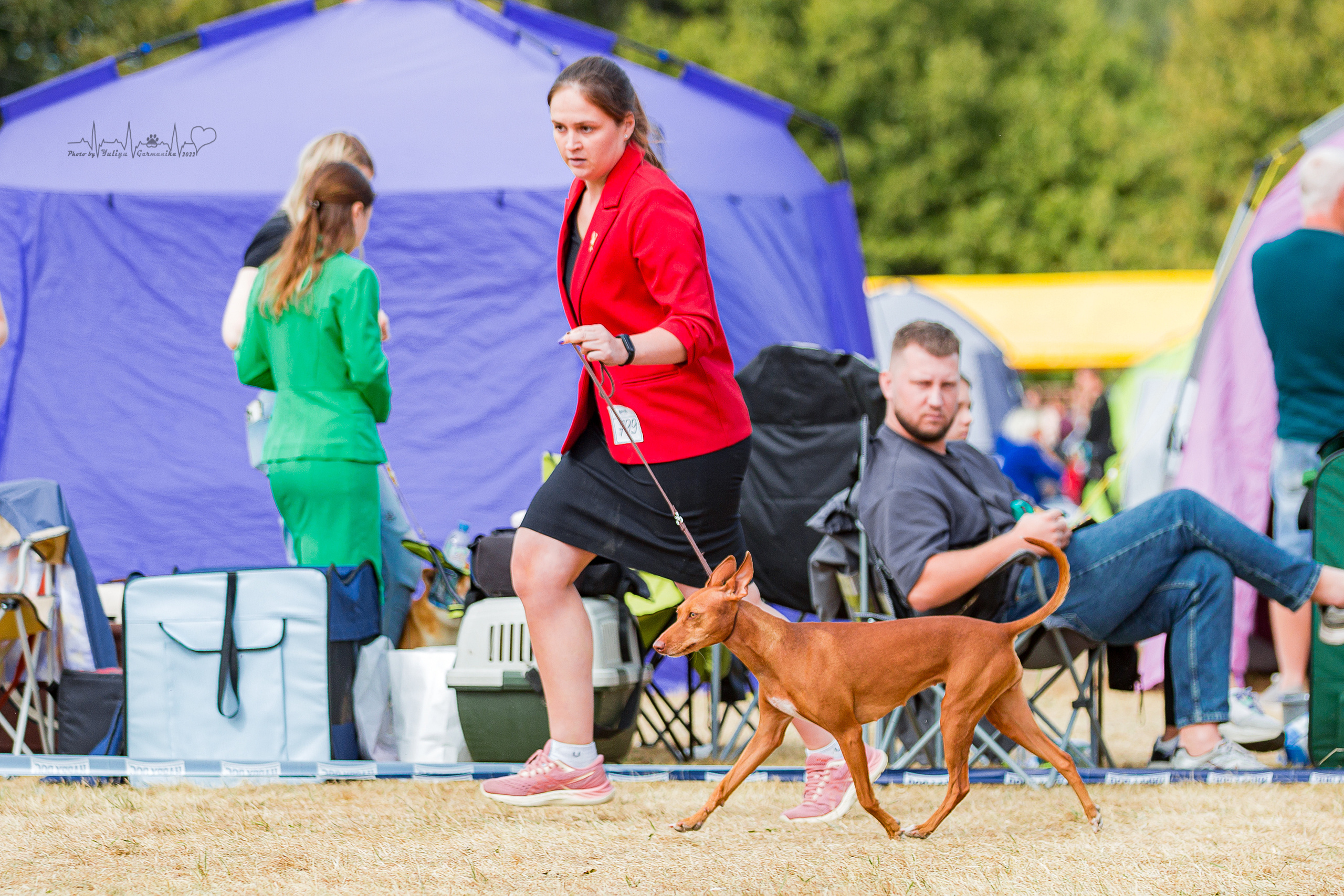 Минск 2хCACIB 3-4.09.2022. Фотограф-анималист Юлия Германика