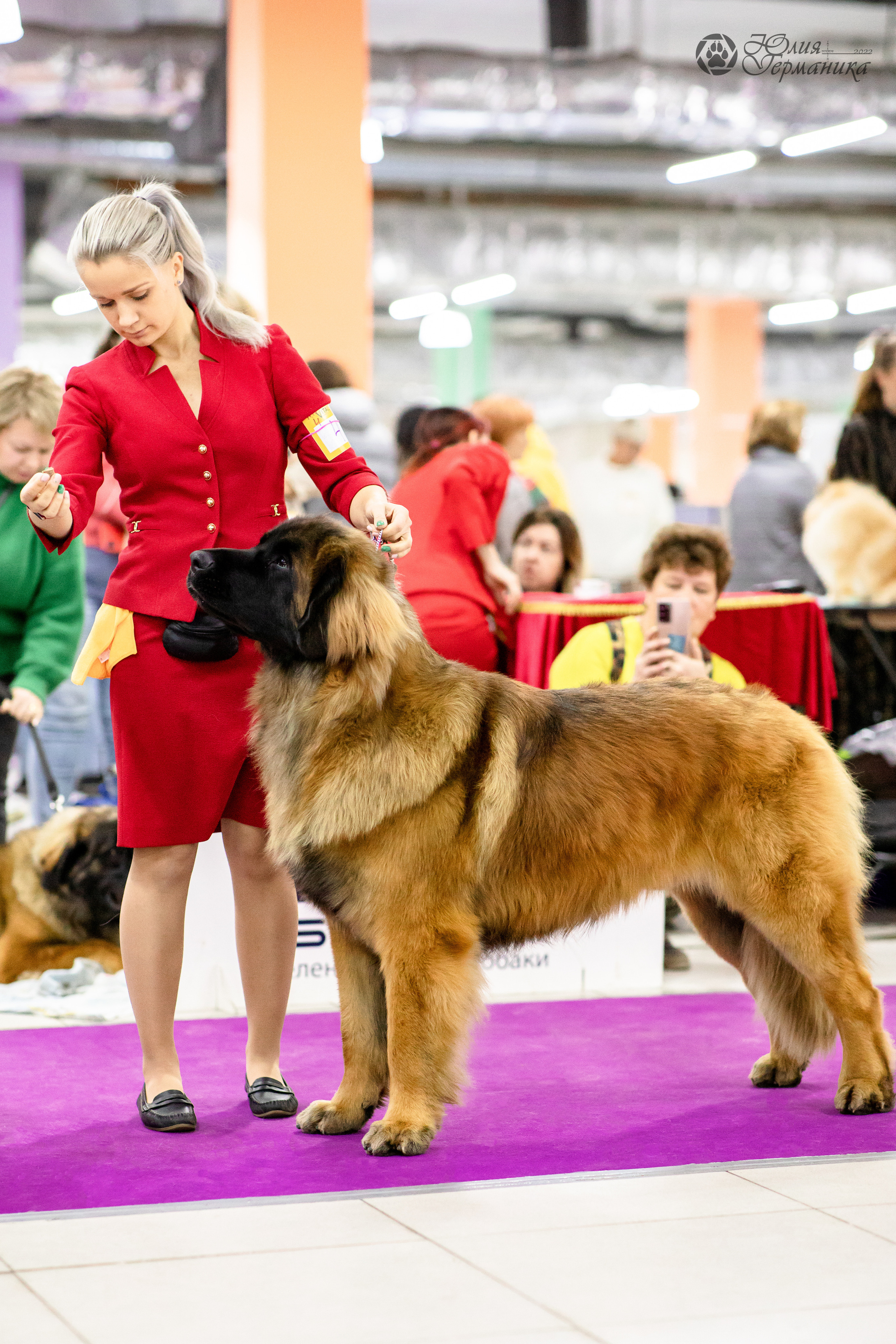 Чайна-Таун 29-30.10.2022. Фотограф-анималист Юлия Германика