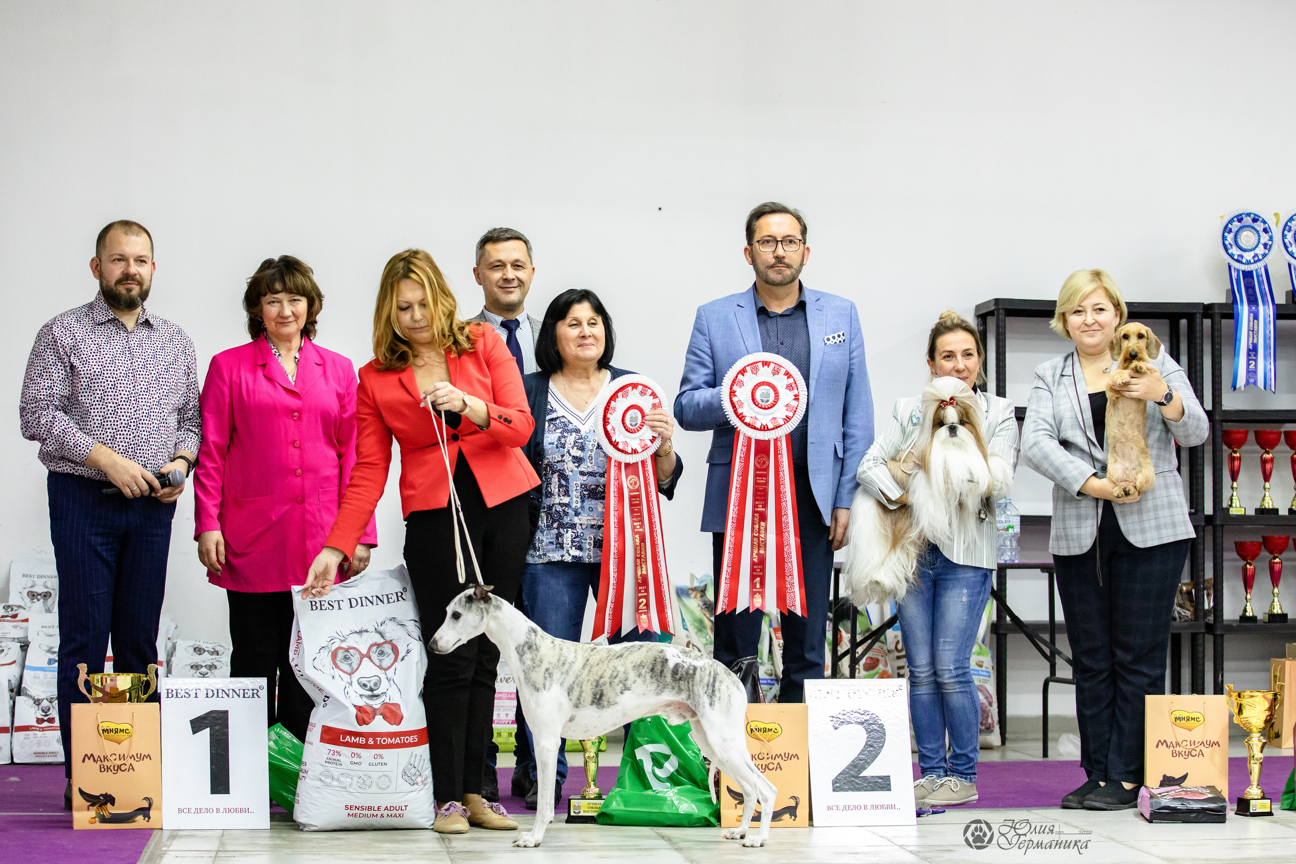 Чайна-Таун 29-30.10.2022. Фотограф-анималист Юлия Германика