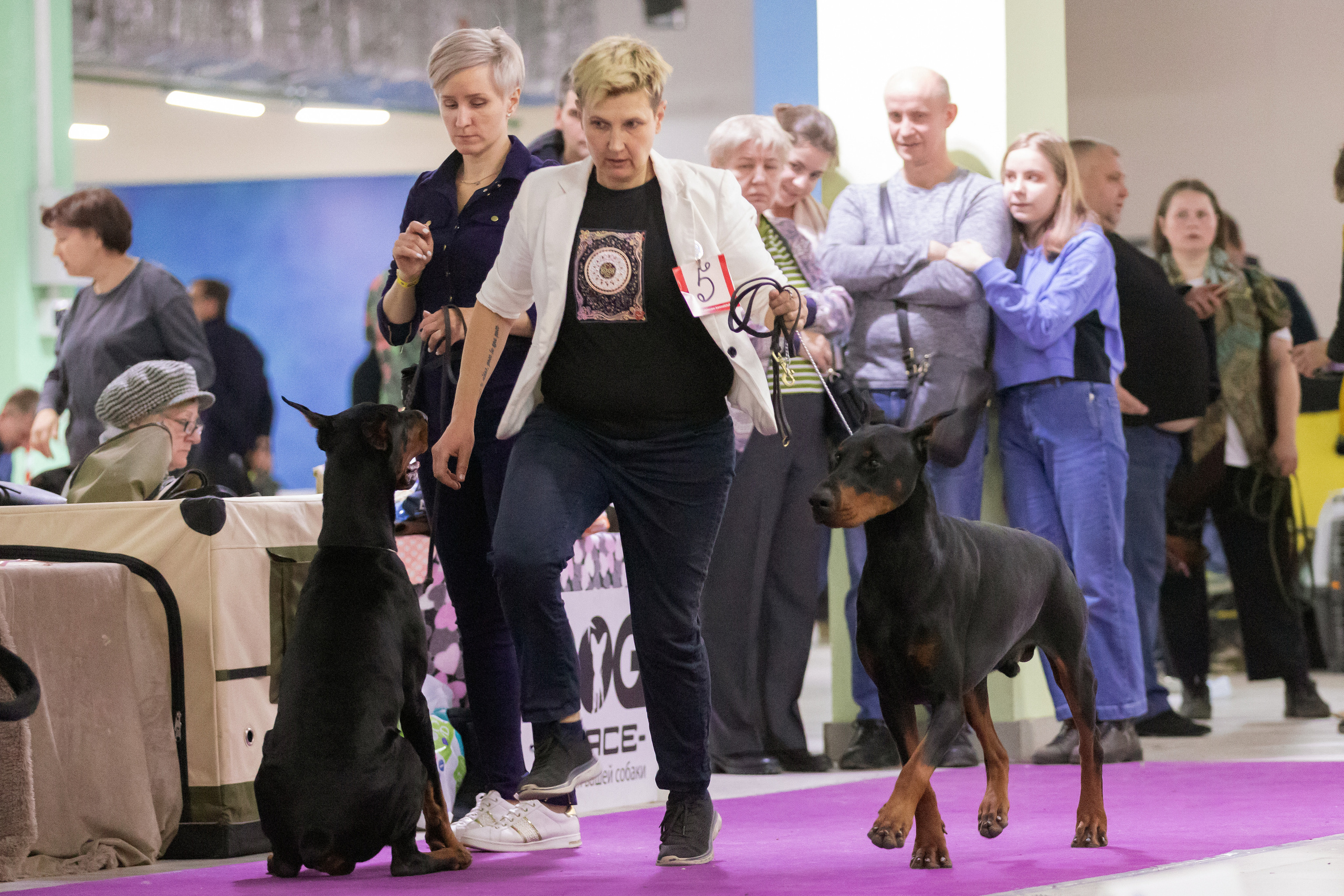 Чайна-Таун 3 и 12.11.2022. Фотограф-анималист Юлия Германика