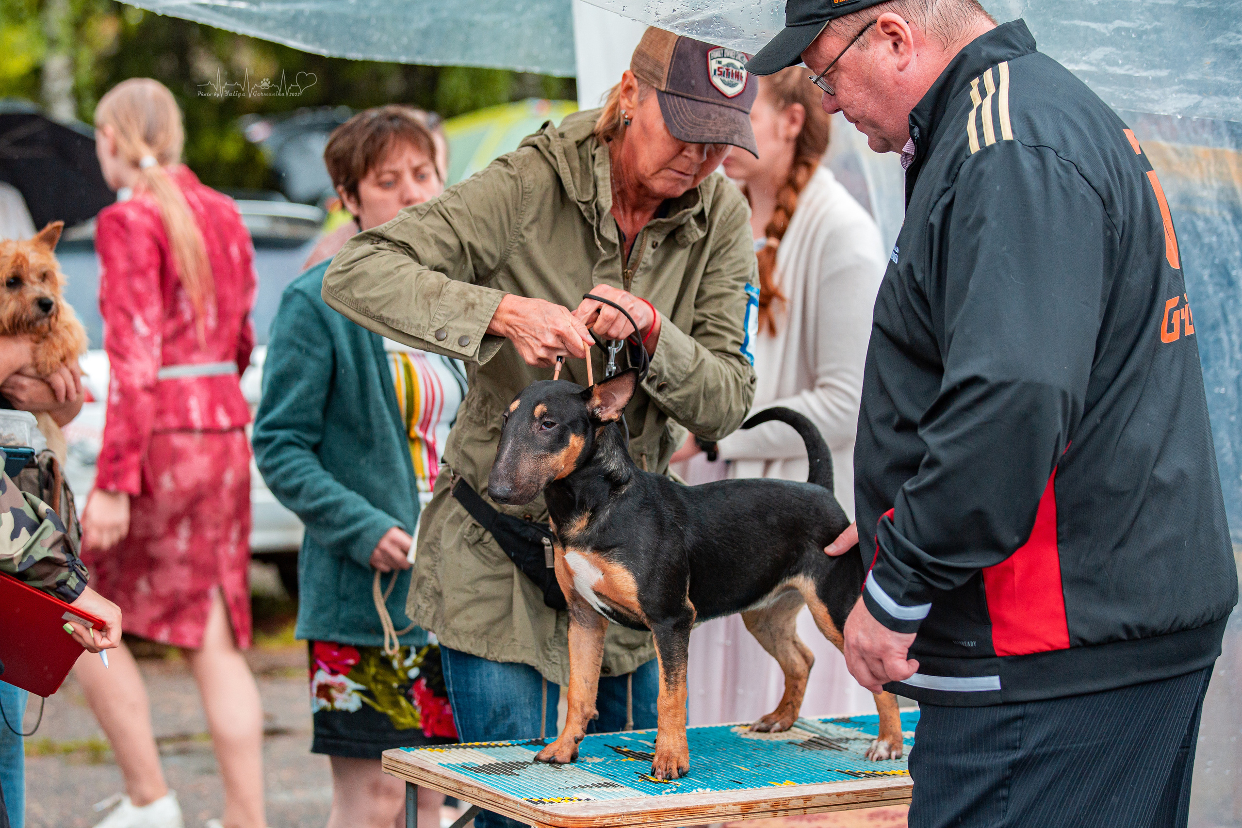 Ховрино 31.07,Чайна-Таун 6.08,Тверь 7.08. Фотограф-анималист Юлия Германика