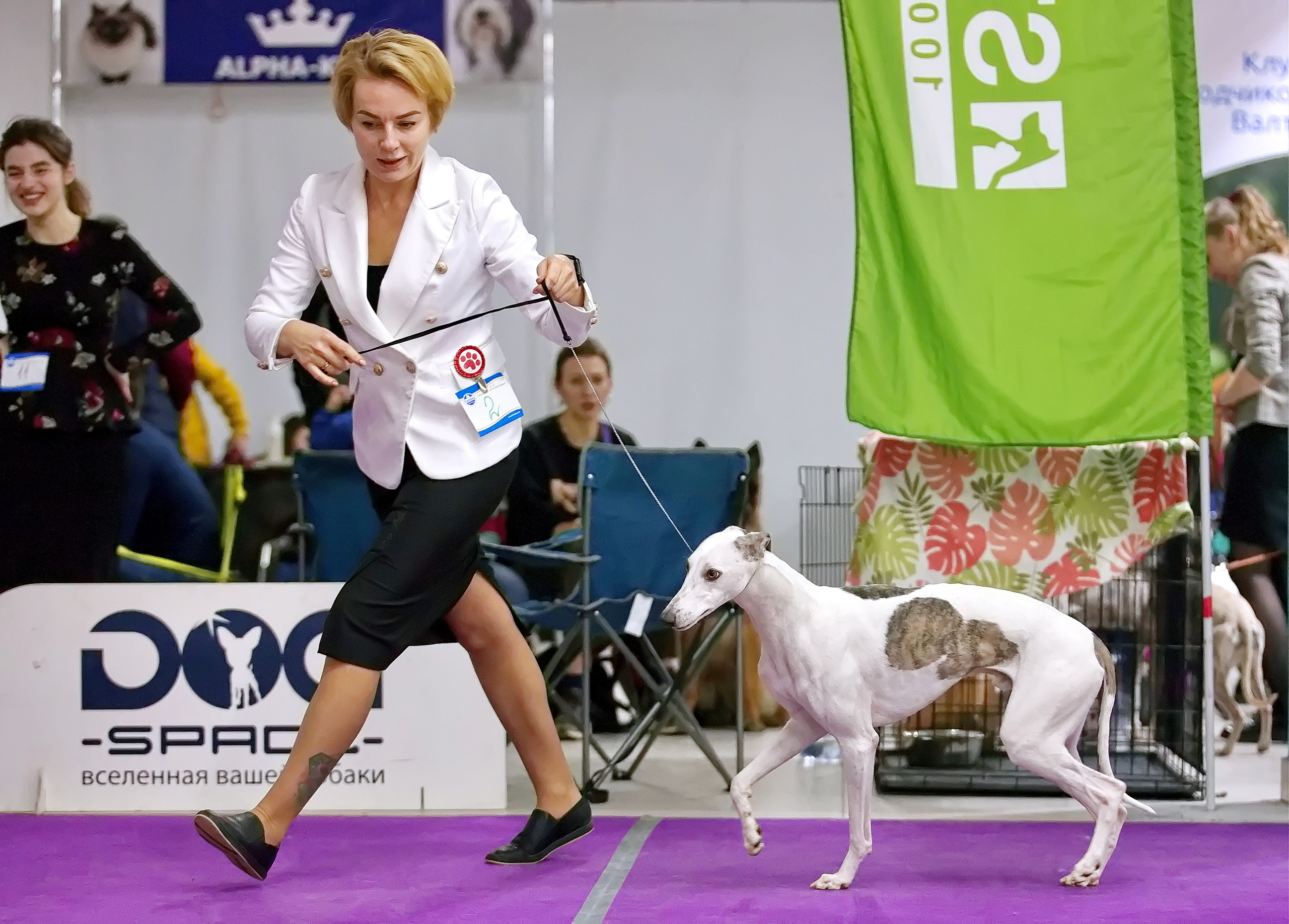 Чайна-Таун 3 и 12.11.2022. Фотограф-анималист Юлия Германика