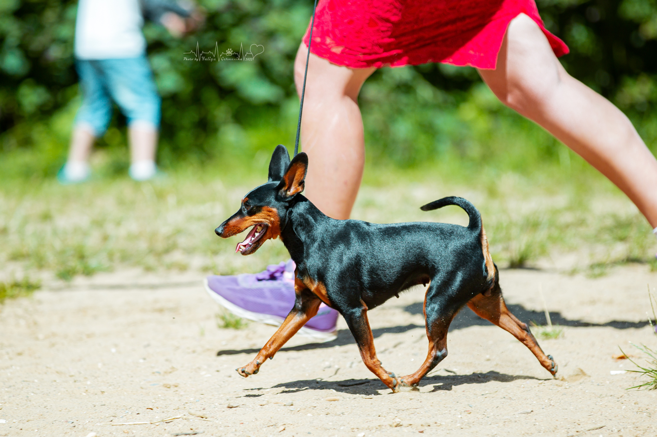 Ховрино 31.07,Чайна-Таун 6.08,Тверь 7.08. Фотограф-анималист Юлия Германика