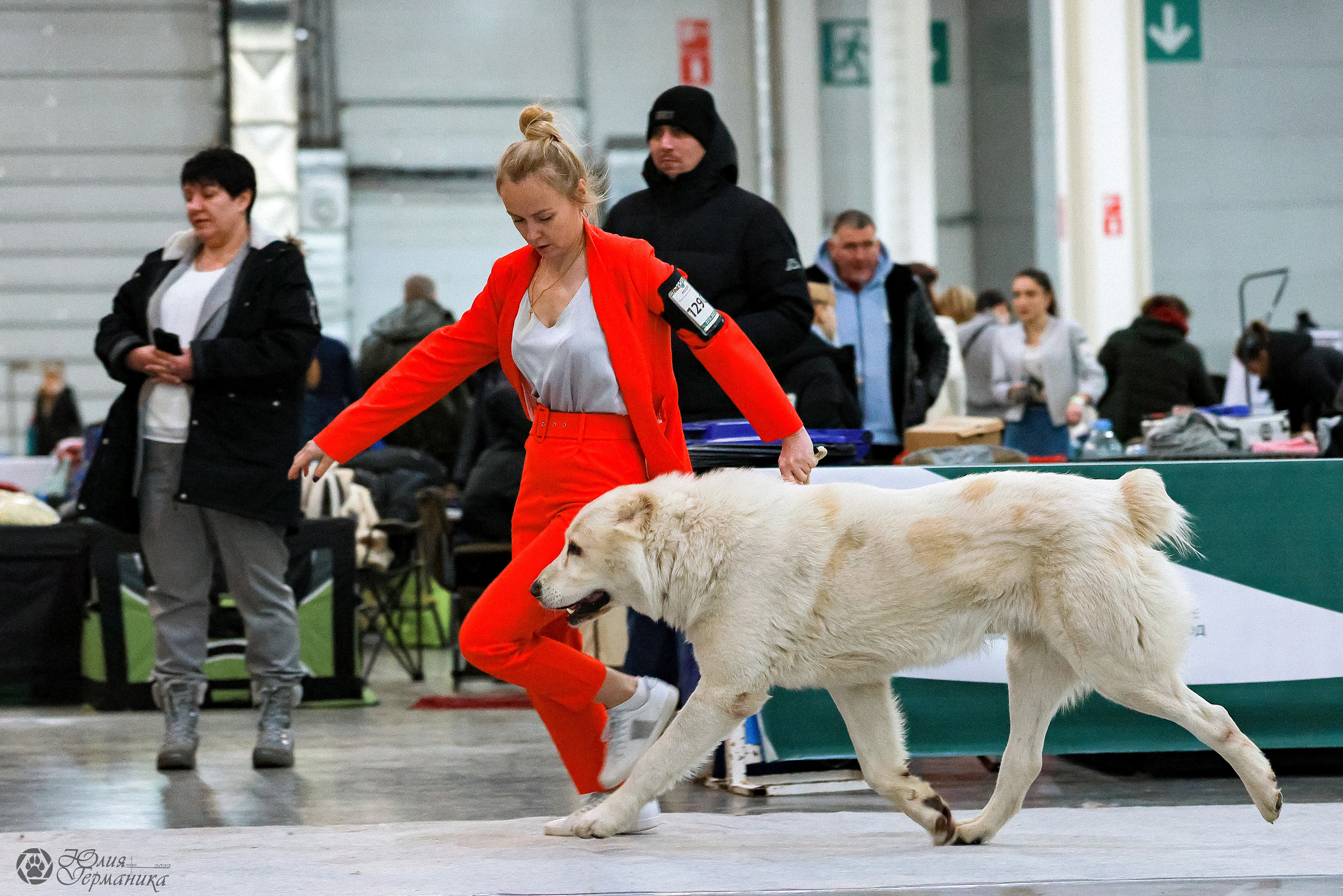 Россия 2020-2022 26-27.11.2022. Фотограф-анималист Юлия Германика