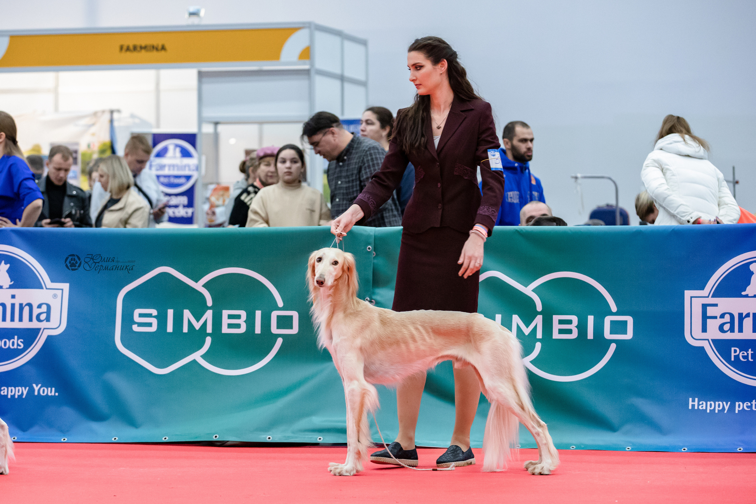 Нижний Новгород 15-16.10.2022. Фотограф-анималист Юлия Германика
